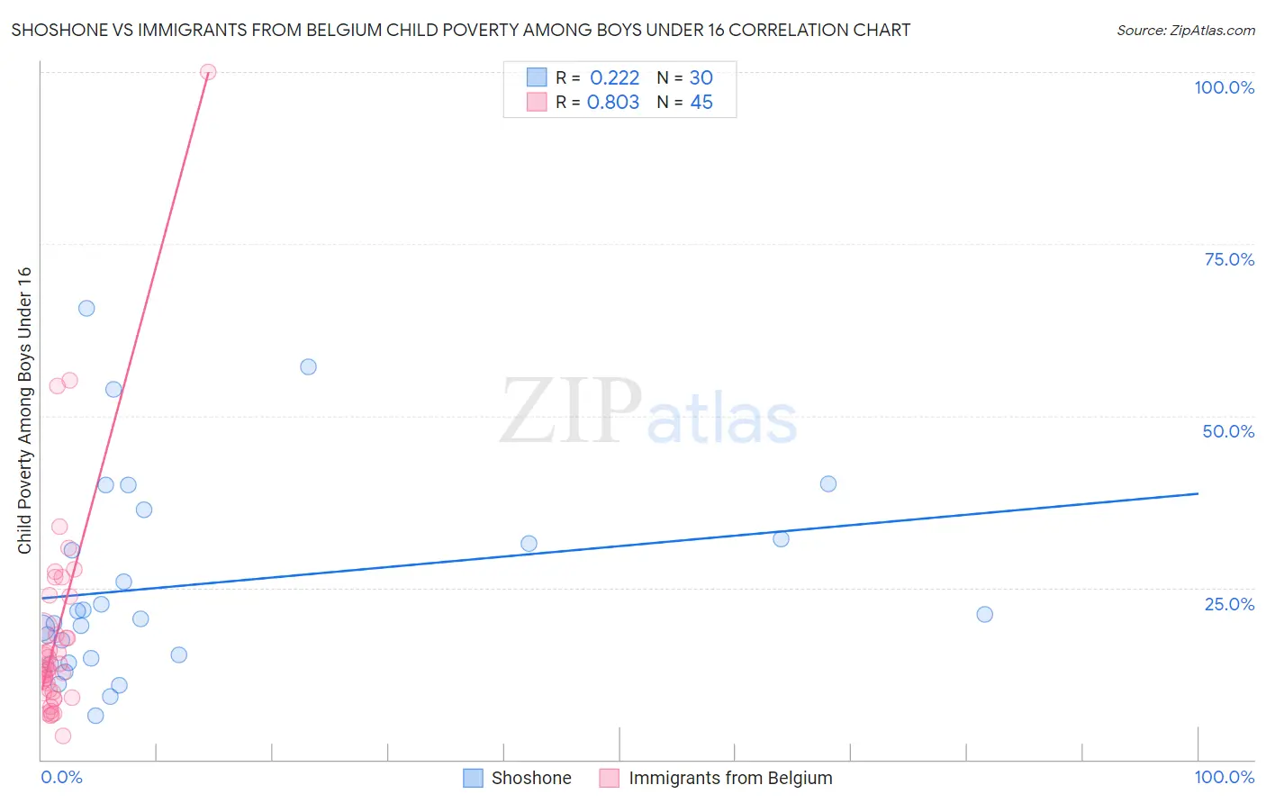 Shoshone vs Immigrants from Belgium Child Poverty Among Boys Under 16