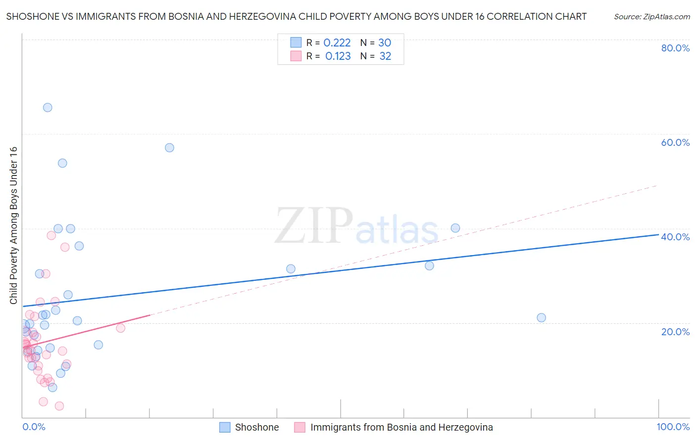 Shoshone vs Immigrants from Bosnia and Herzegovina Child Poverty Among Boys Under 16