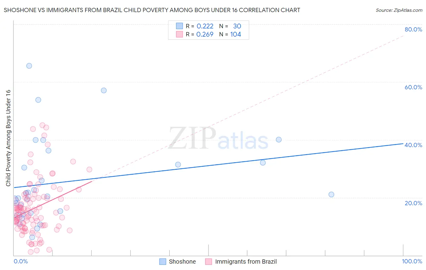 Shoshone vs Immigrants from Brazil Child Poverty Among Boys Under 16