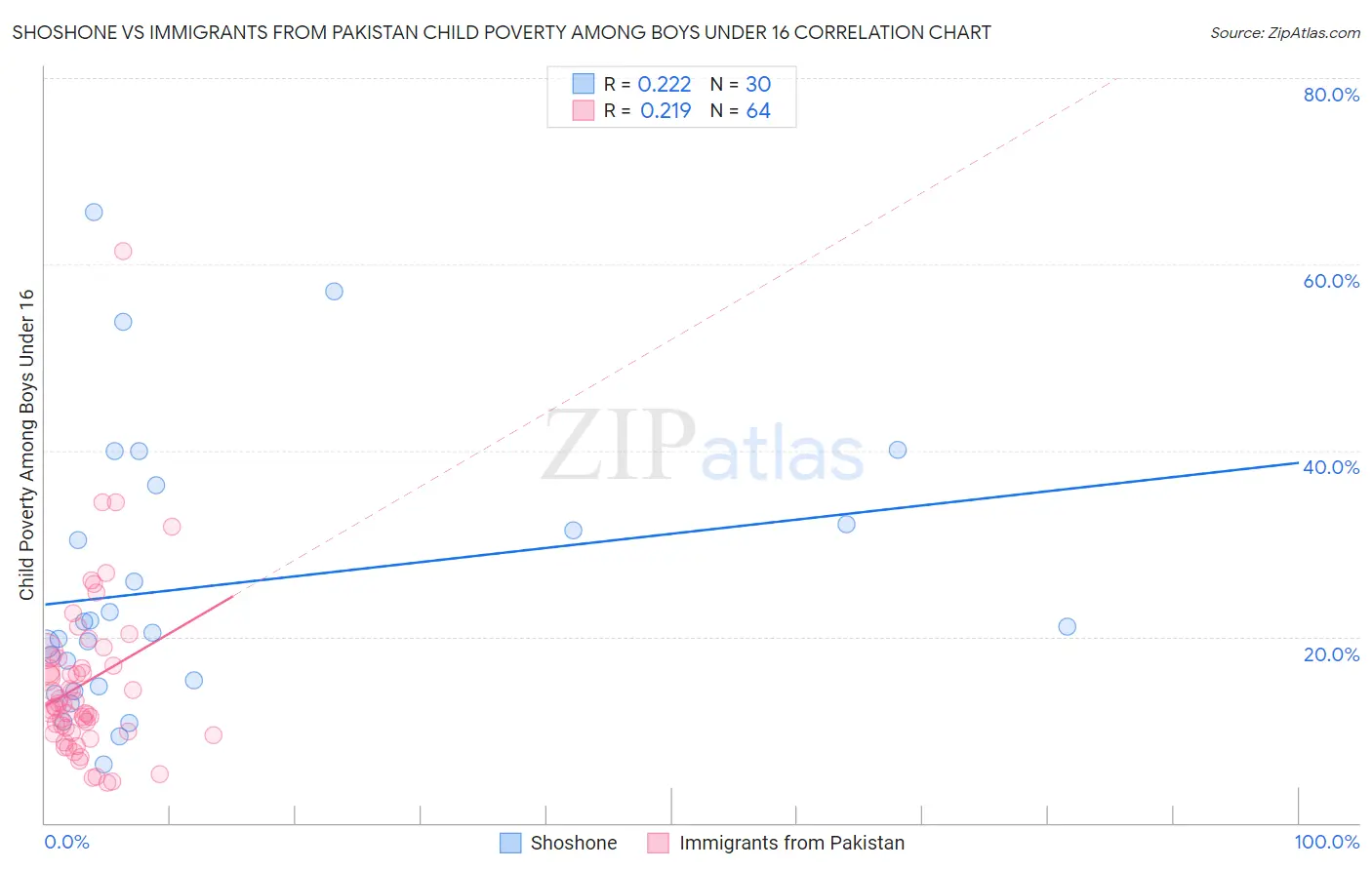 Shoshone vs Immigrants from Pakistan Child Poverty Among Boys Under 16
