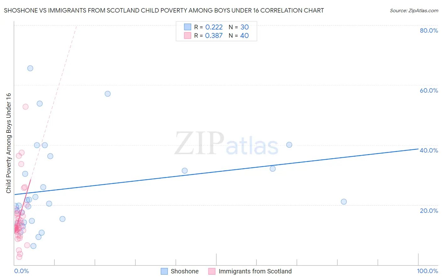 Shoshone vs Immigrants from Scotland Child Poverty Among Boys Under 16