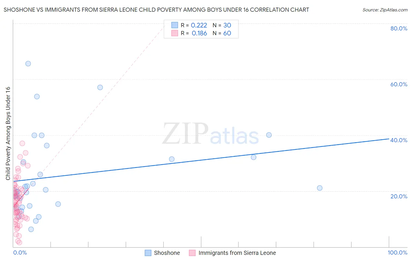 Shoshone vs Immigrants from Sierra Leone Child Poverty Among Boys Under 16