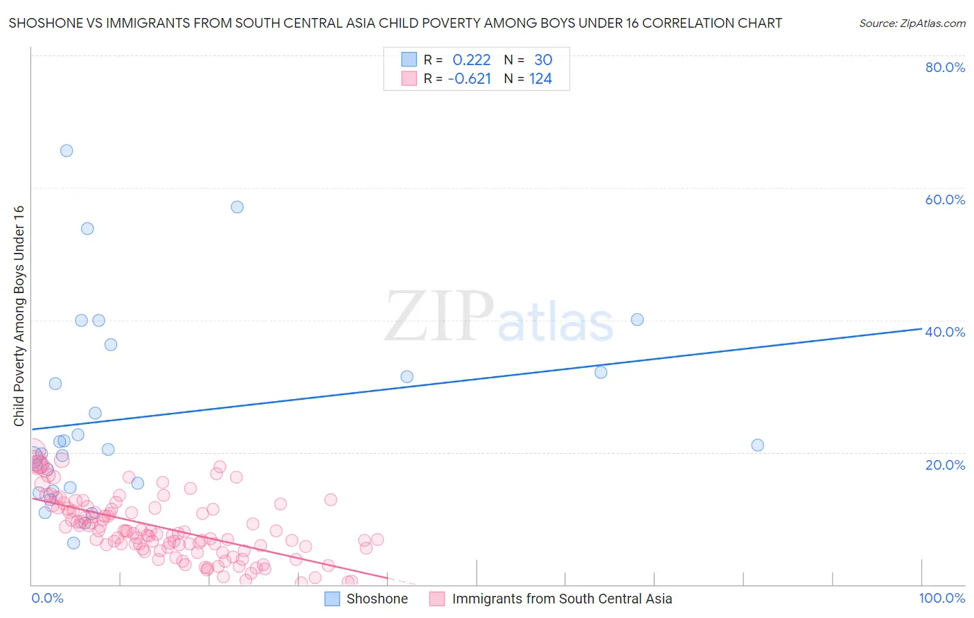 Shoshone vs Immigrants from South Central Asia Child Poverty Among Boys Under 16