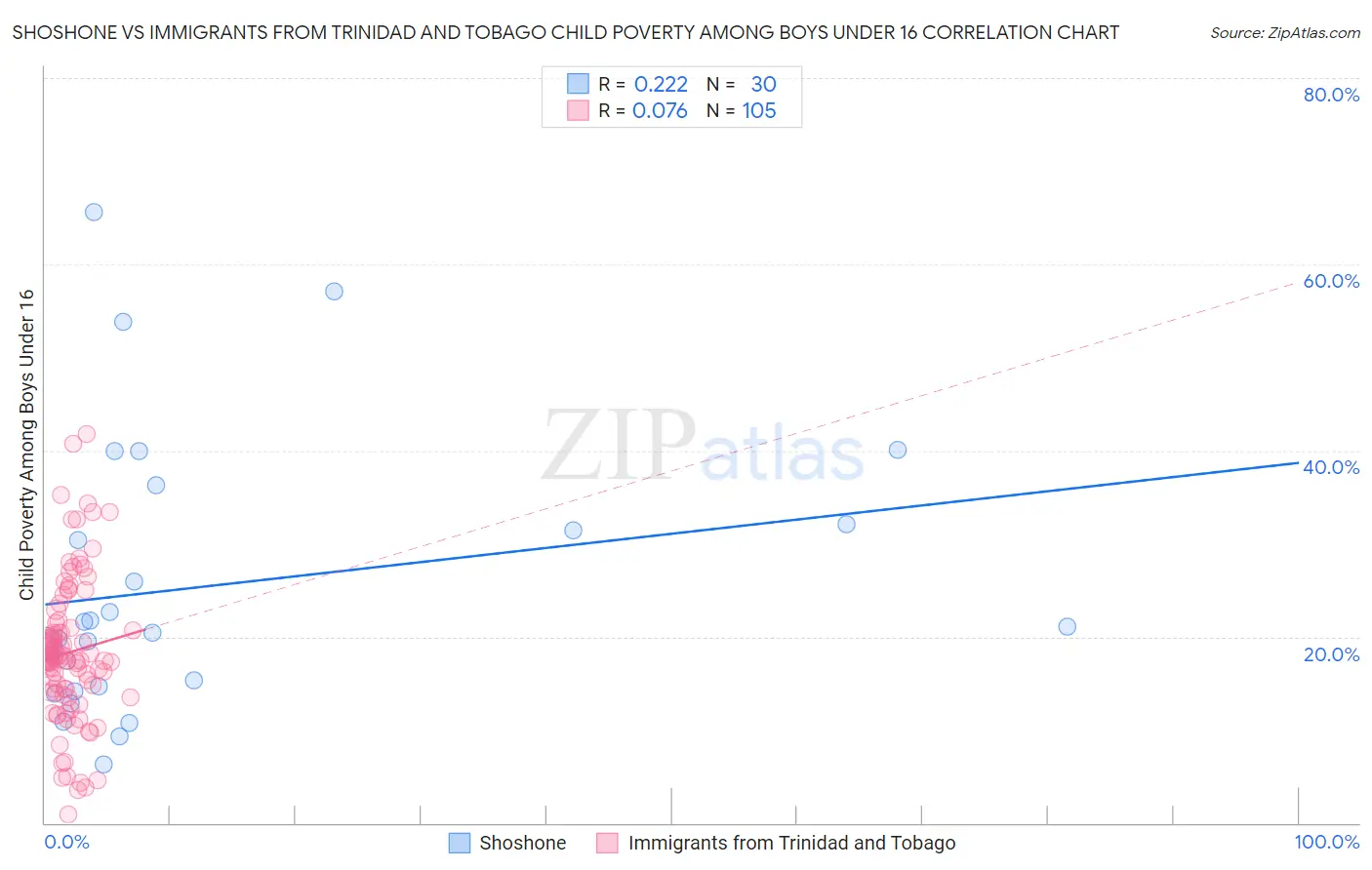 Shoshone vs Immigrants from Trinidad and Tobago Child Poverty Among Boys Under 16