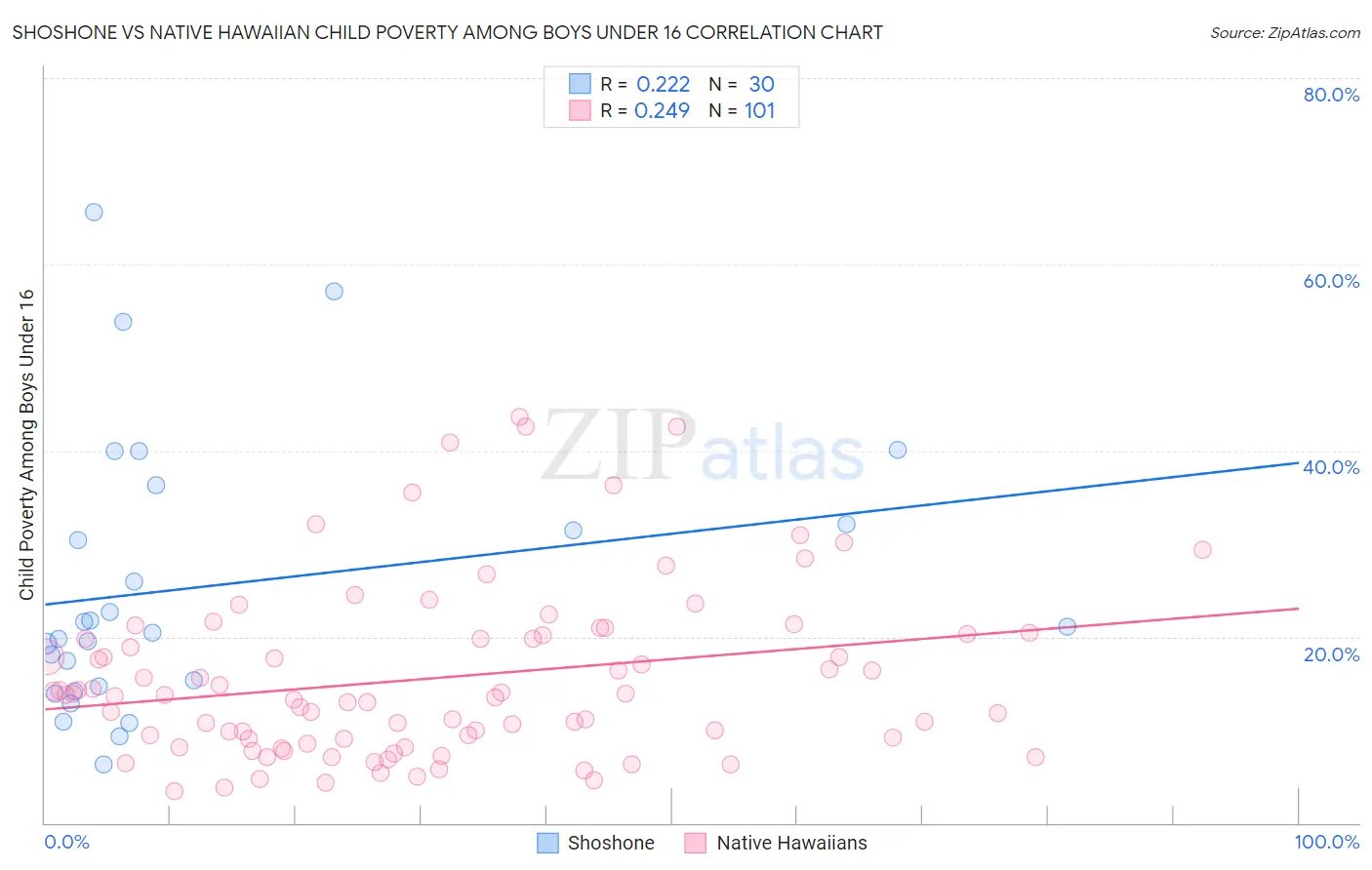 Shoshone vs Native Hawaiian Child Poverty Among Boys Under 16