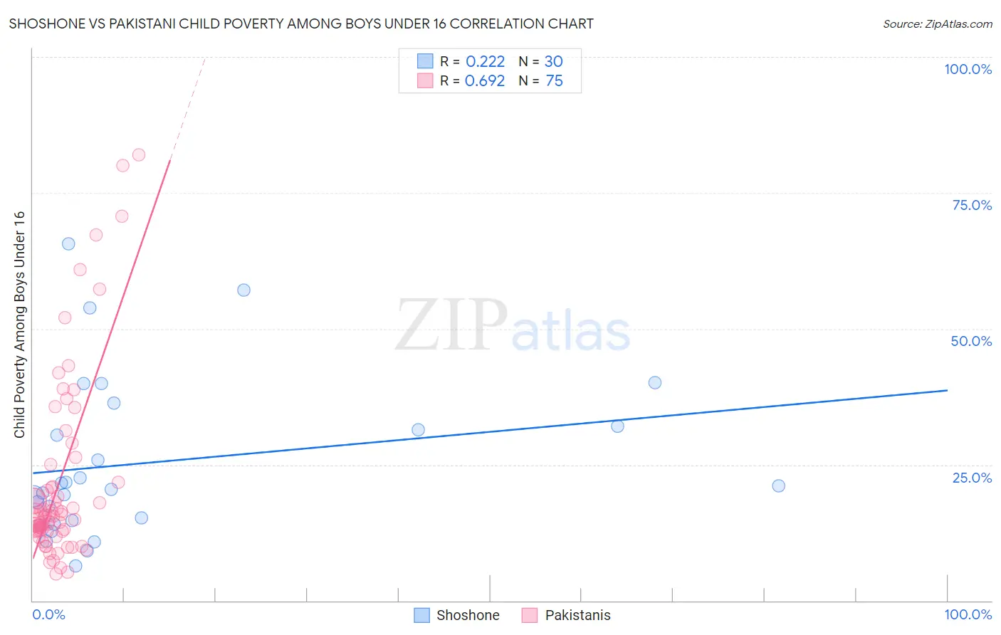 Shoshone vs Pakistani Child Poverty Among Boys Under 16