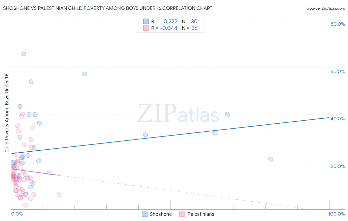 Shoshone vs Palestinian Child Poverty Among Boys Under 16