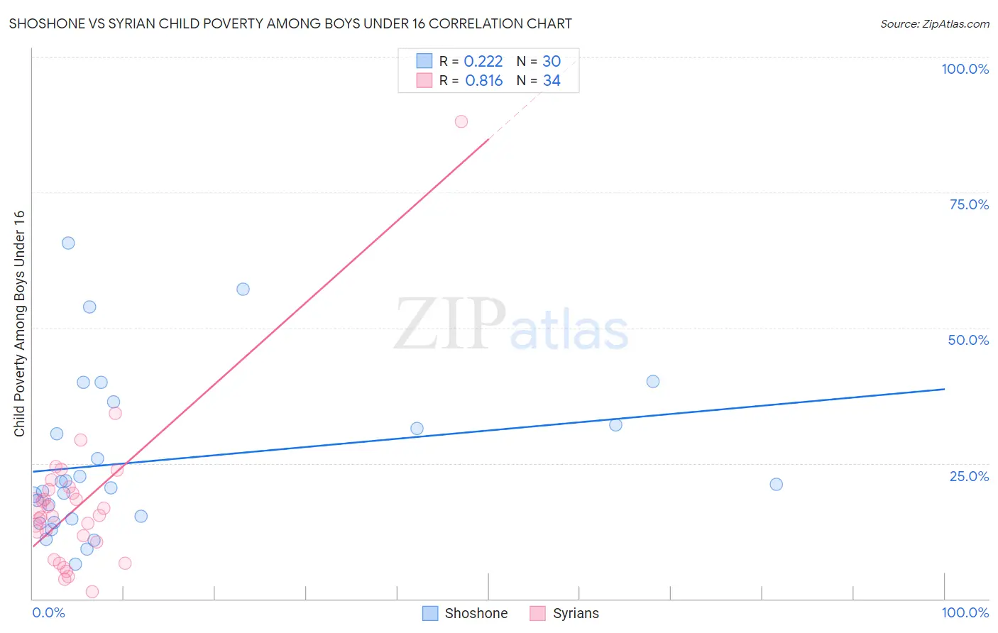 Shoshone vs Syrian Child Poverty Among Boys Under 16