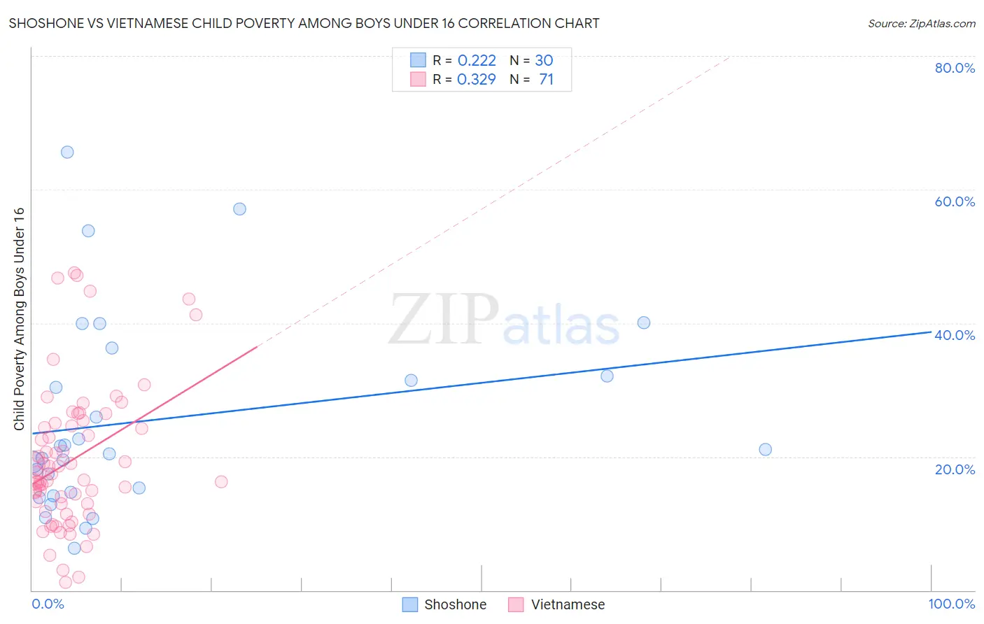Shoshone vs Vietnamese Child Poverty Among Boys Under 16