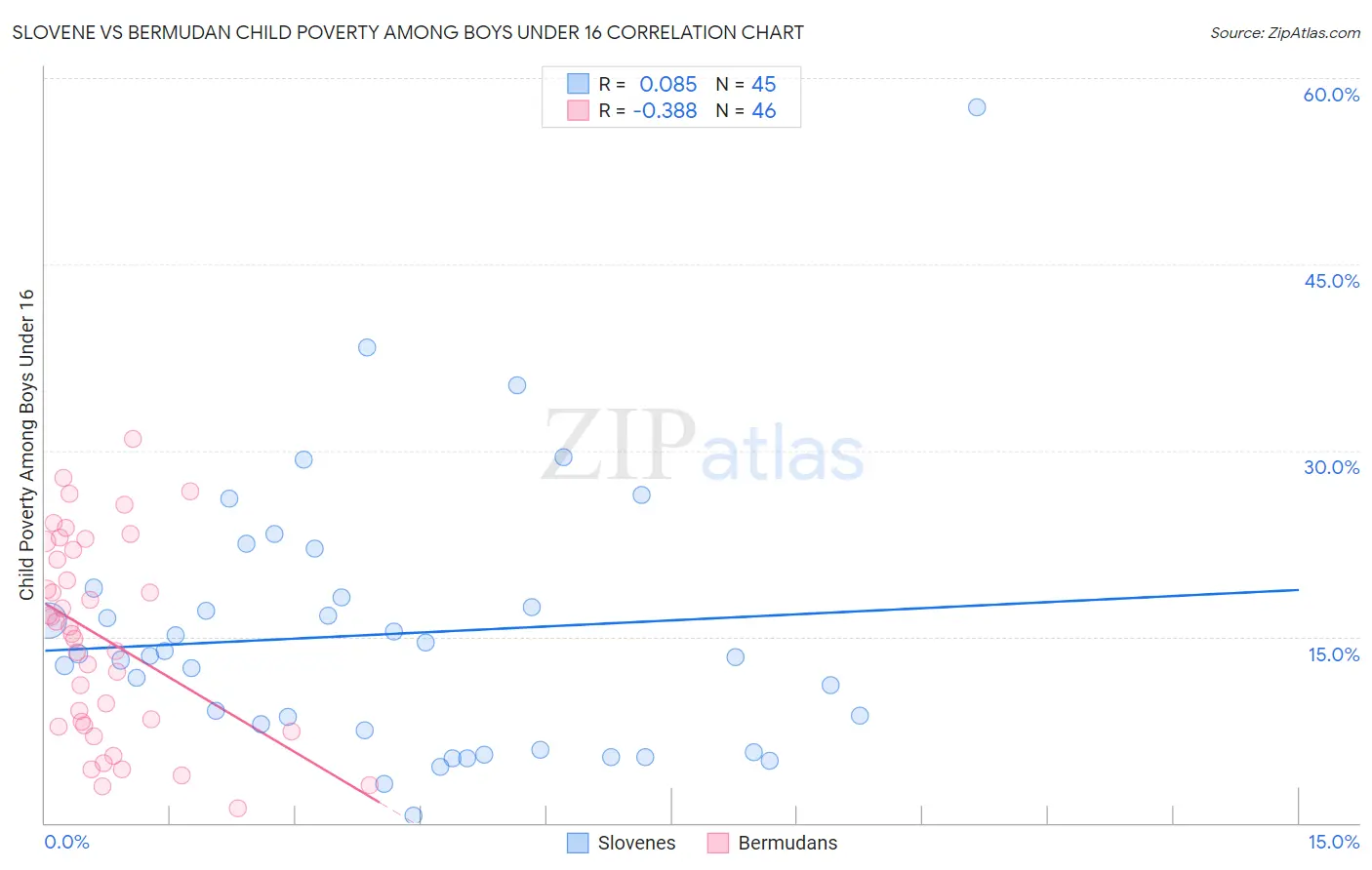 Slovene vs Bermudan Child Poverty Among Boys Under 16
