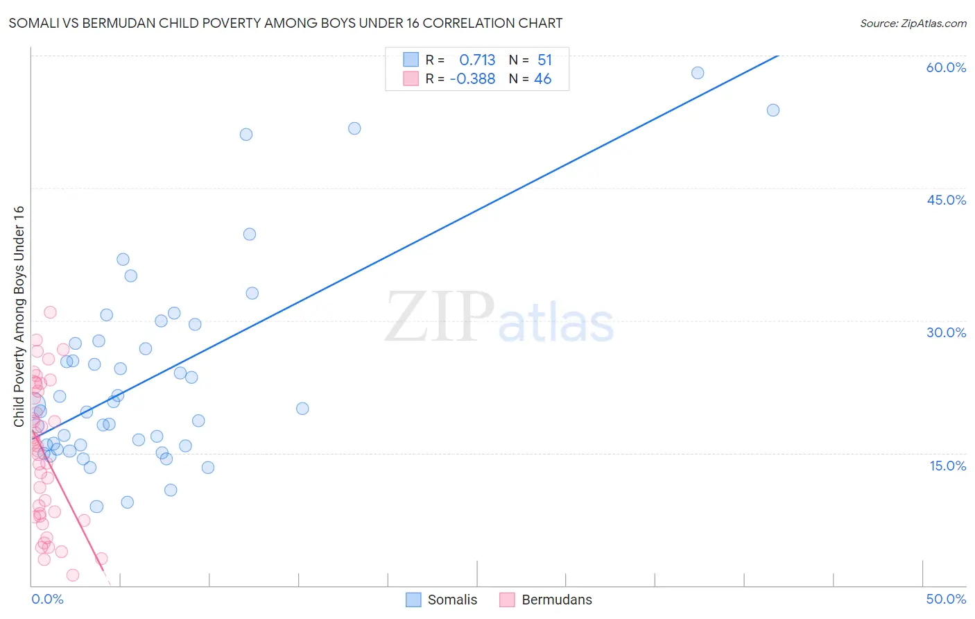 Somali vs Bermudan Child Poverty Among Boys Under 16