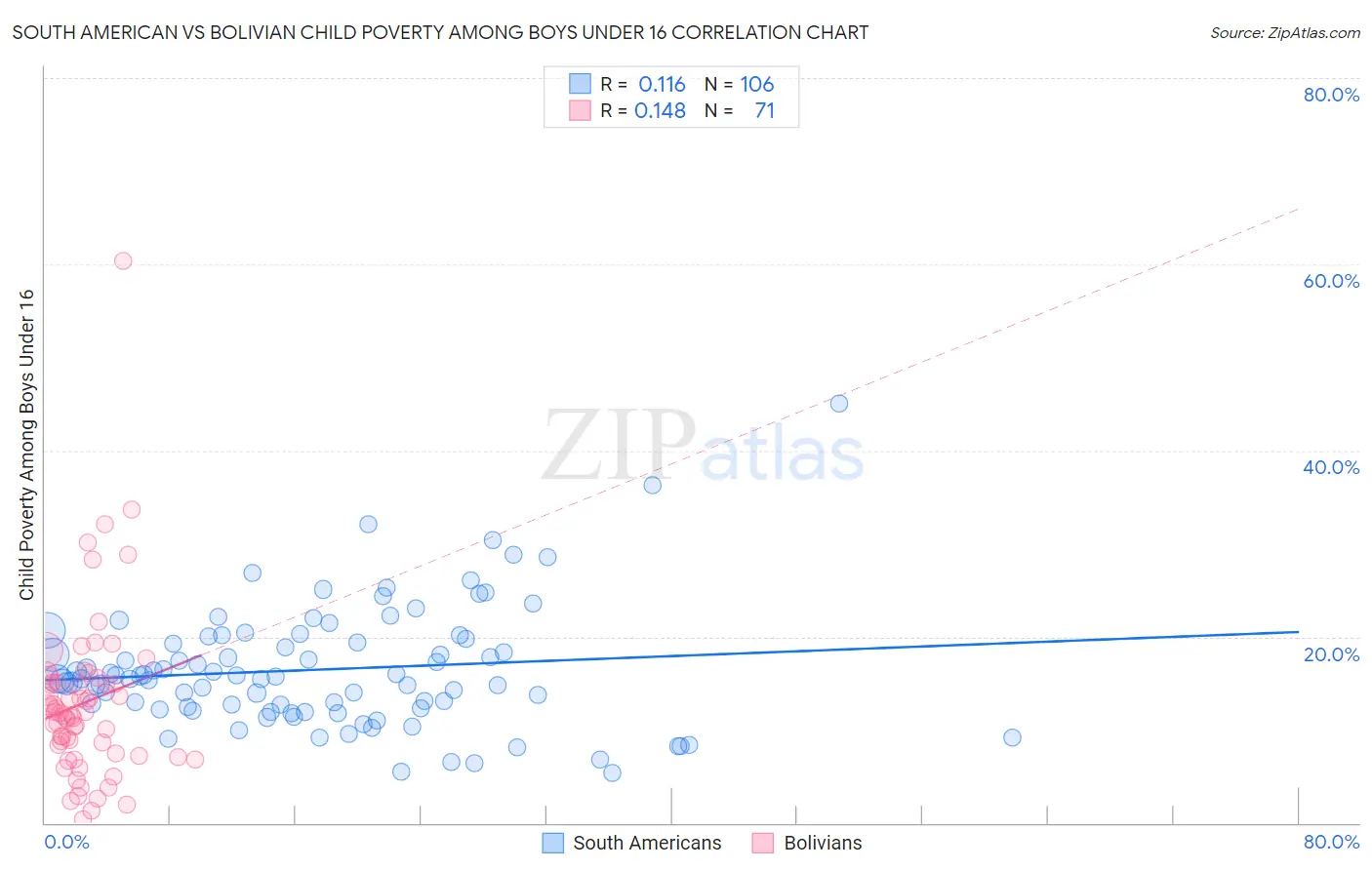 South American vs Bolivian Child Poverty Among Boys Under 16