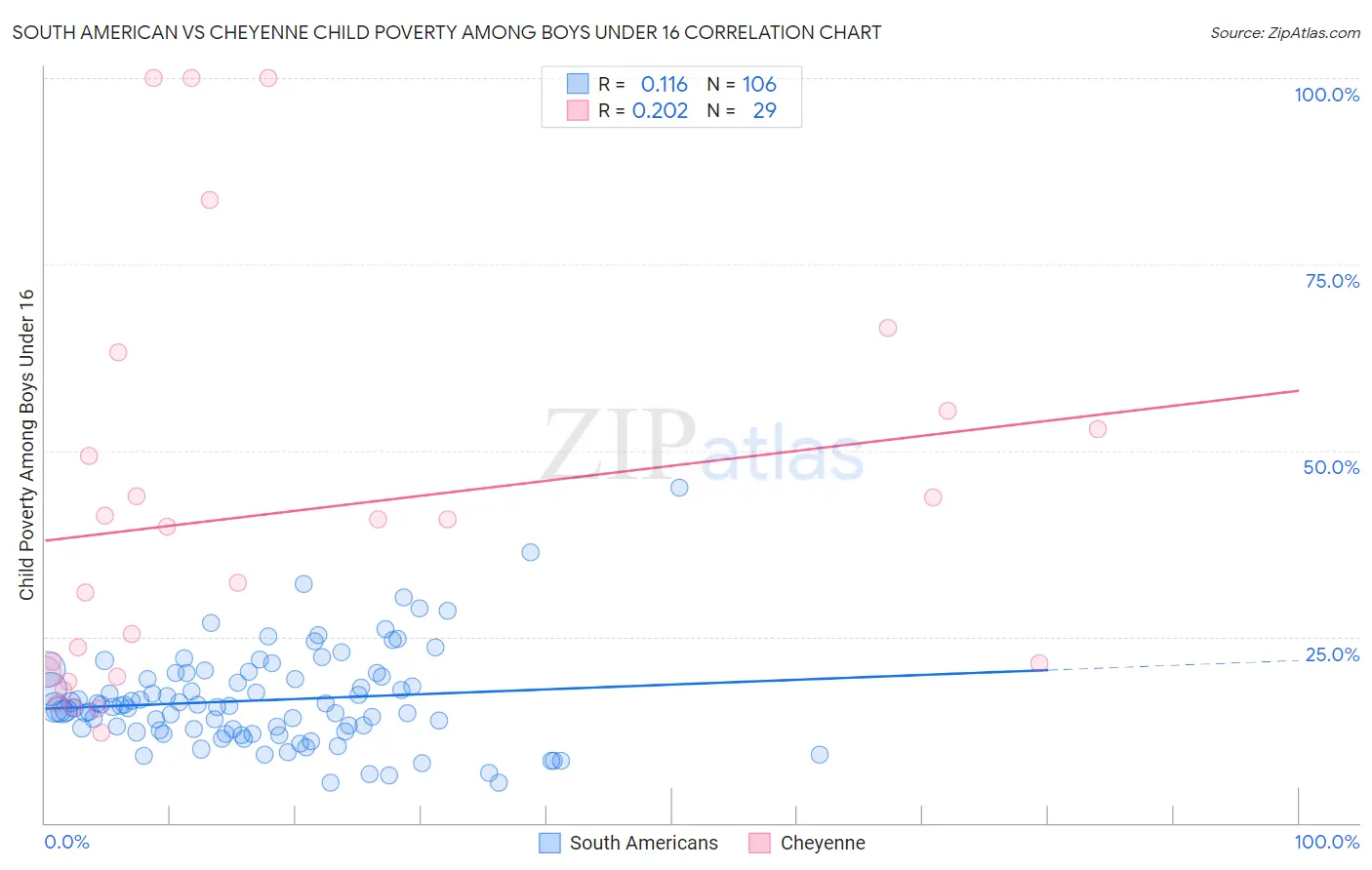 South American vs Cheyenne Child Poverty Among Boys Under 16
