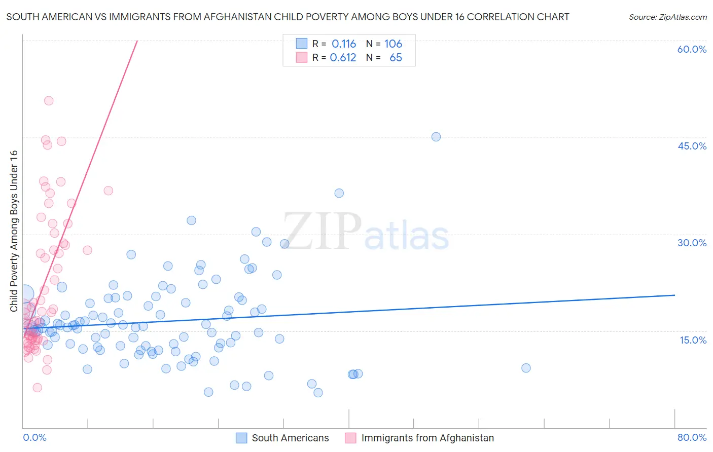 South American vs Immigrants from Afghanistan Child Poverty Among Boys Under 16