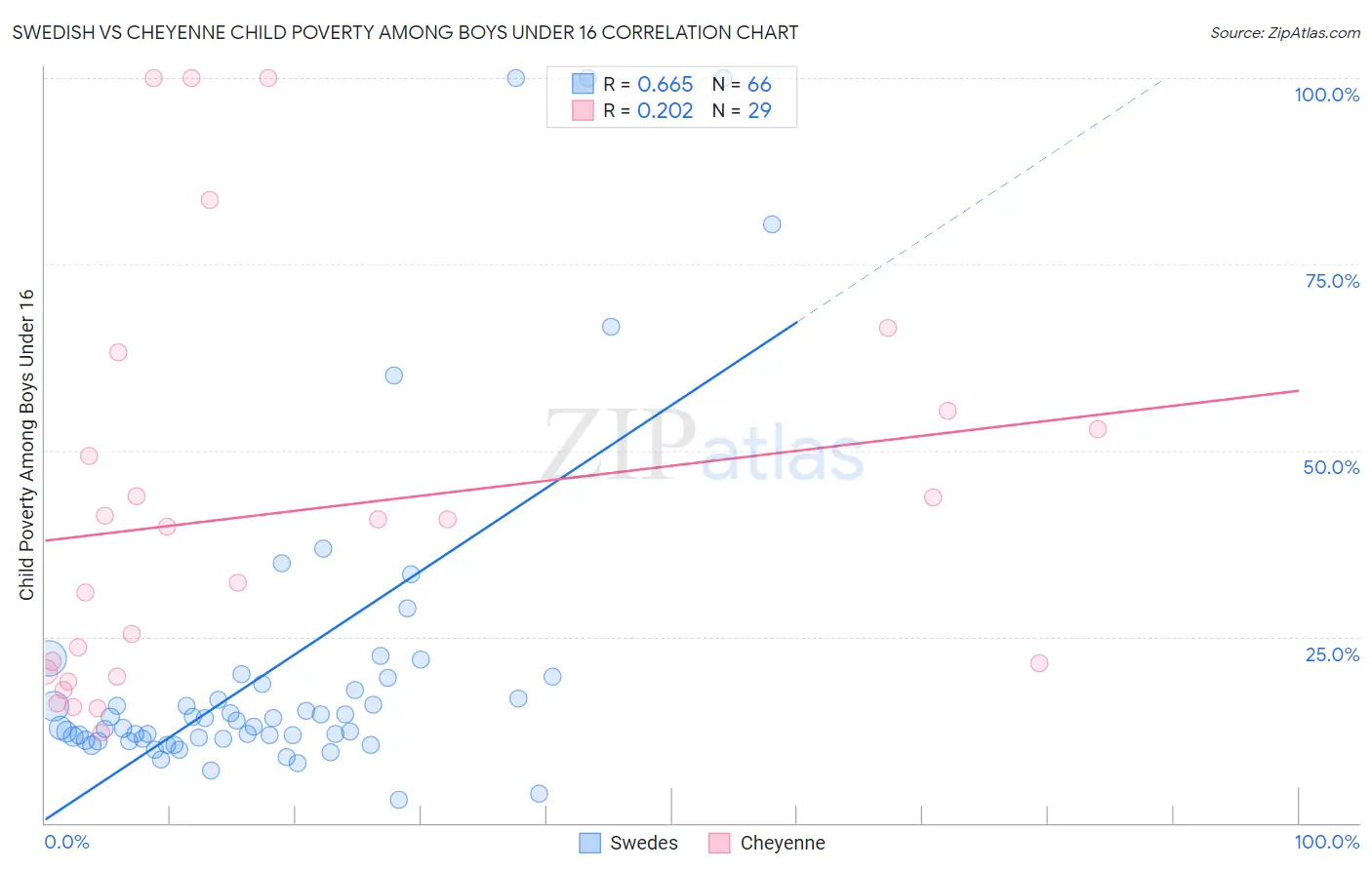 Swedish vs Cheyenne Child Poverty Among Boys Under 16