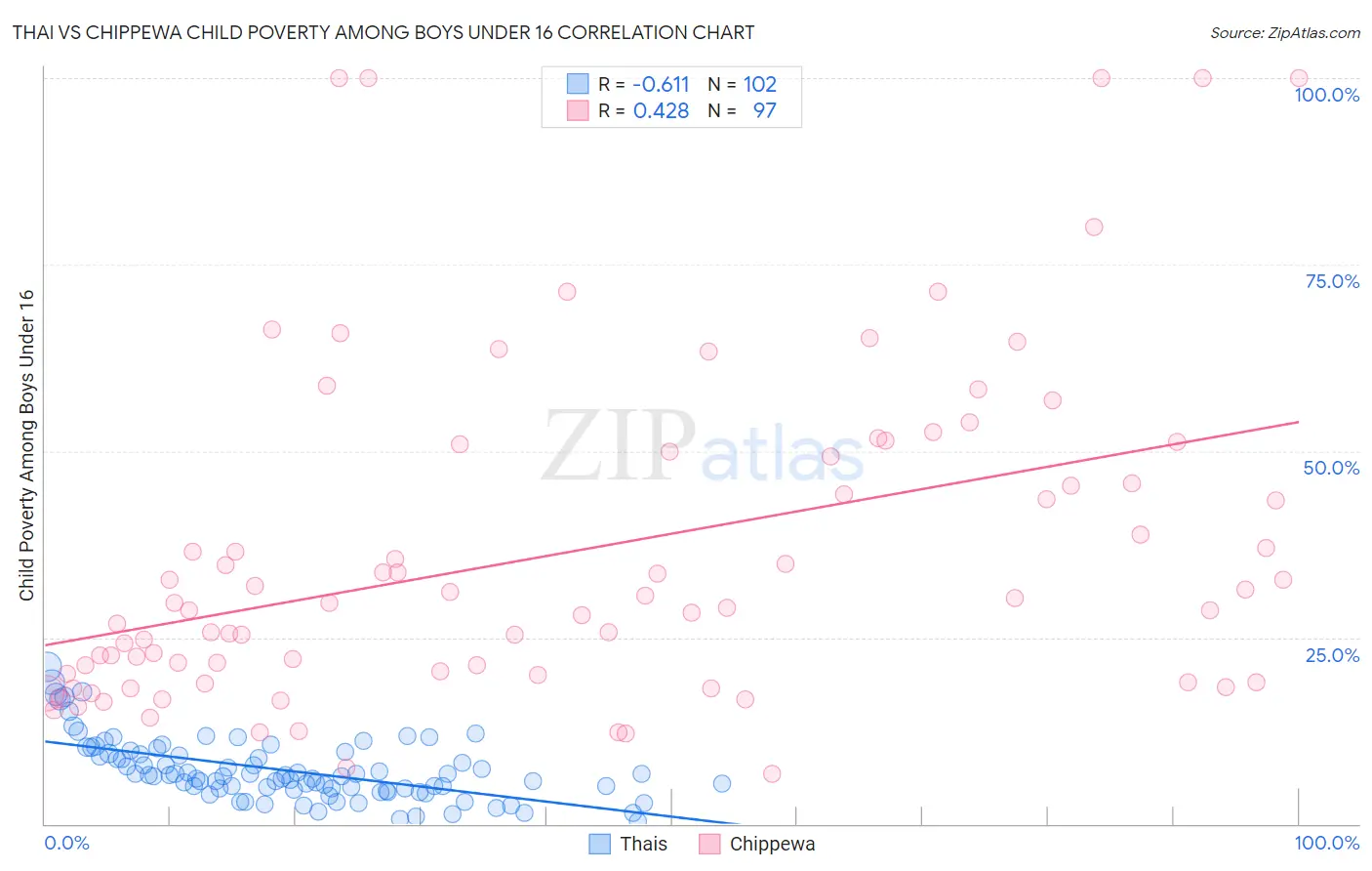 Thai vs Chippewa Child Poverty Among Boys Under 16