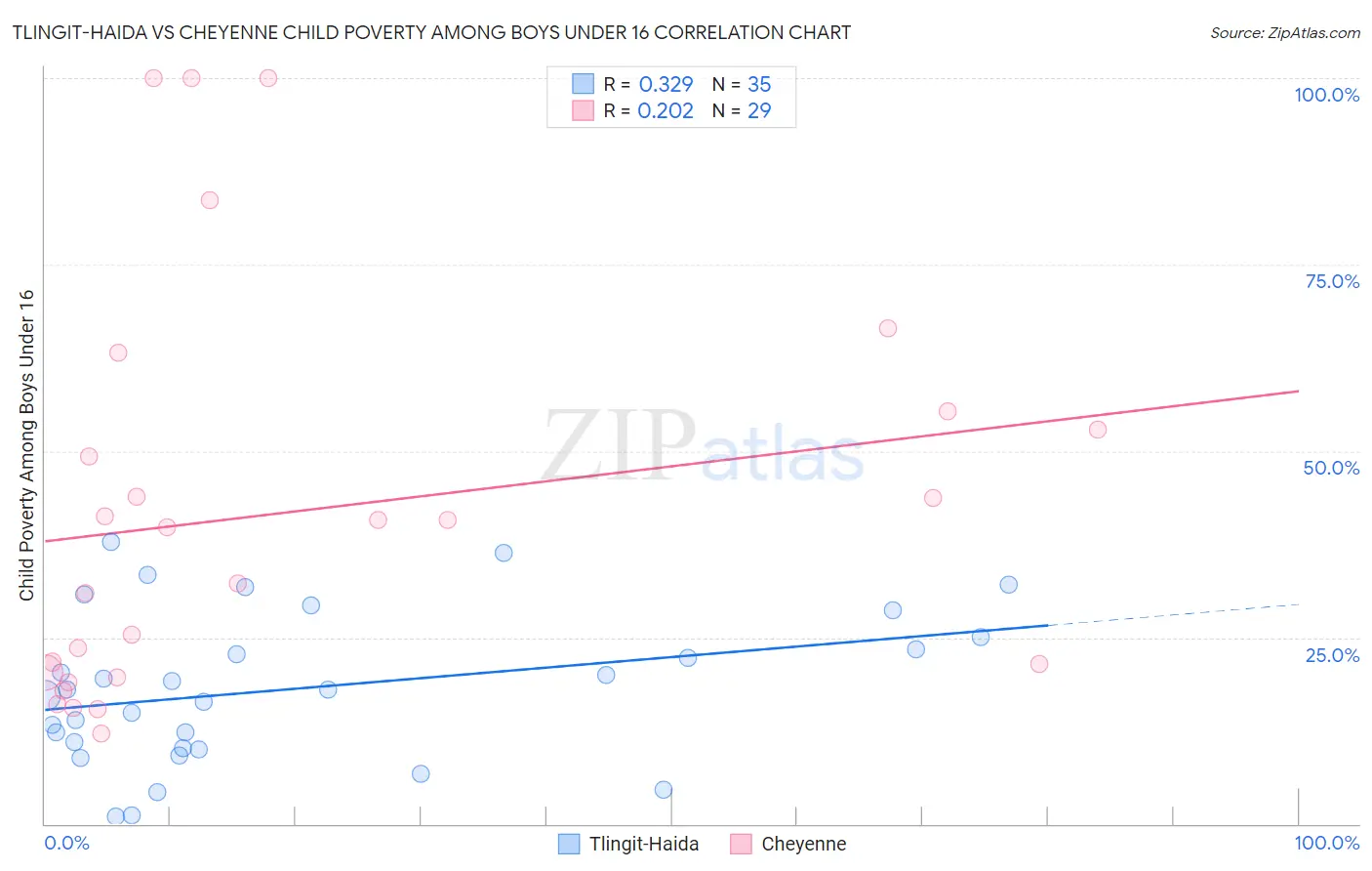 Tlingit-Haida vs Cheyenne Child Poverty Among Boys Under 16