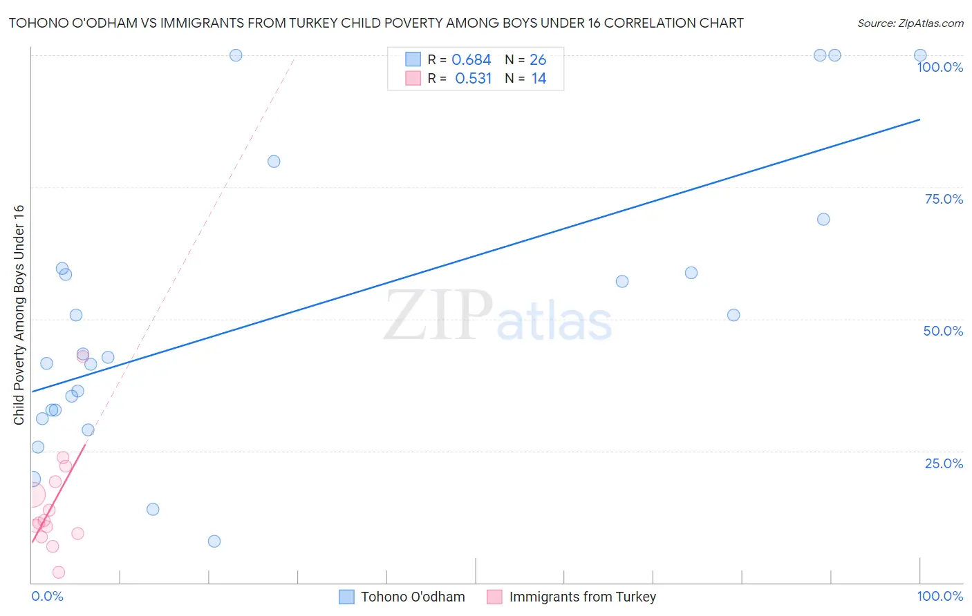 Tohono O'odham vs Immigrants from Turkey Child Poverty Among Boys Under 16