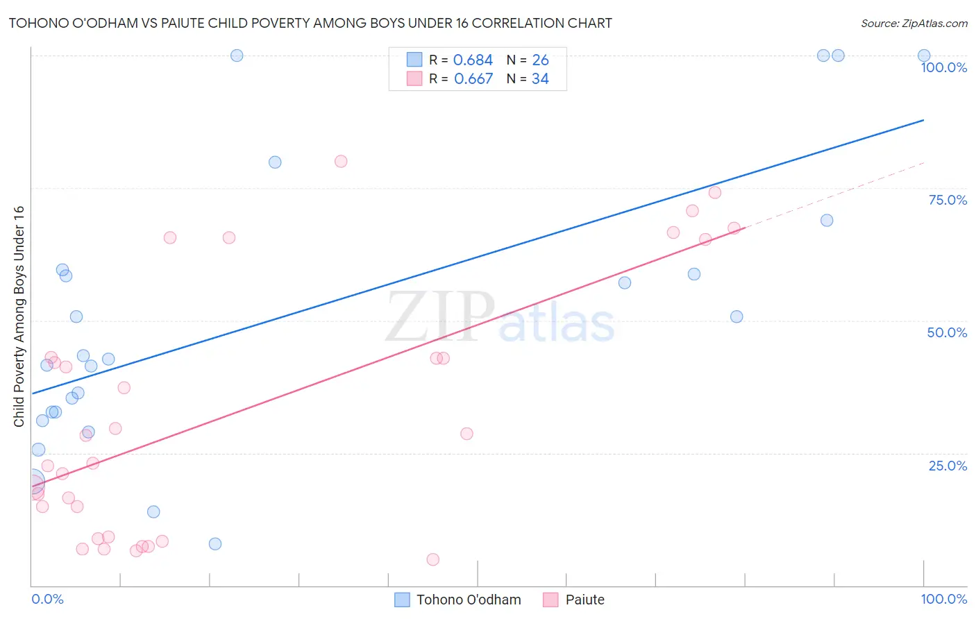 Tohono O'odham vs Paiute Child Poverty Among Boys Under 16