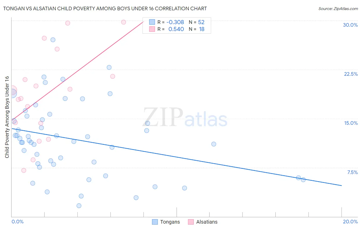Tongan vs Alsatian Child Poverty Among Boys Under 16