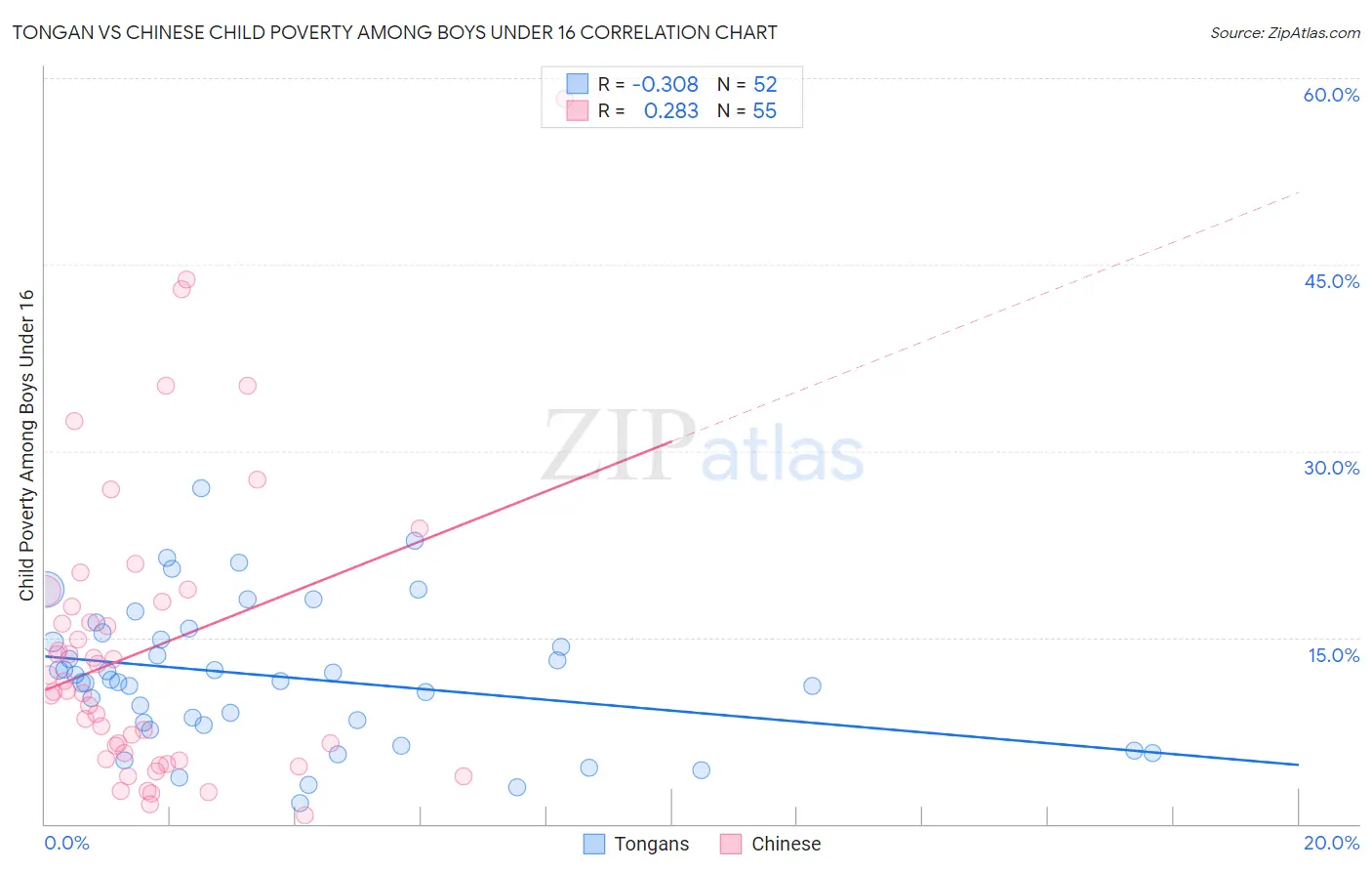Tongan vs Chinese Child Poverty Among Boys Under 16