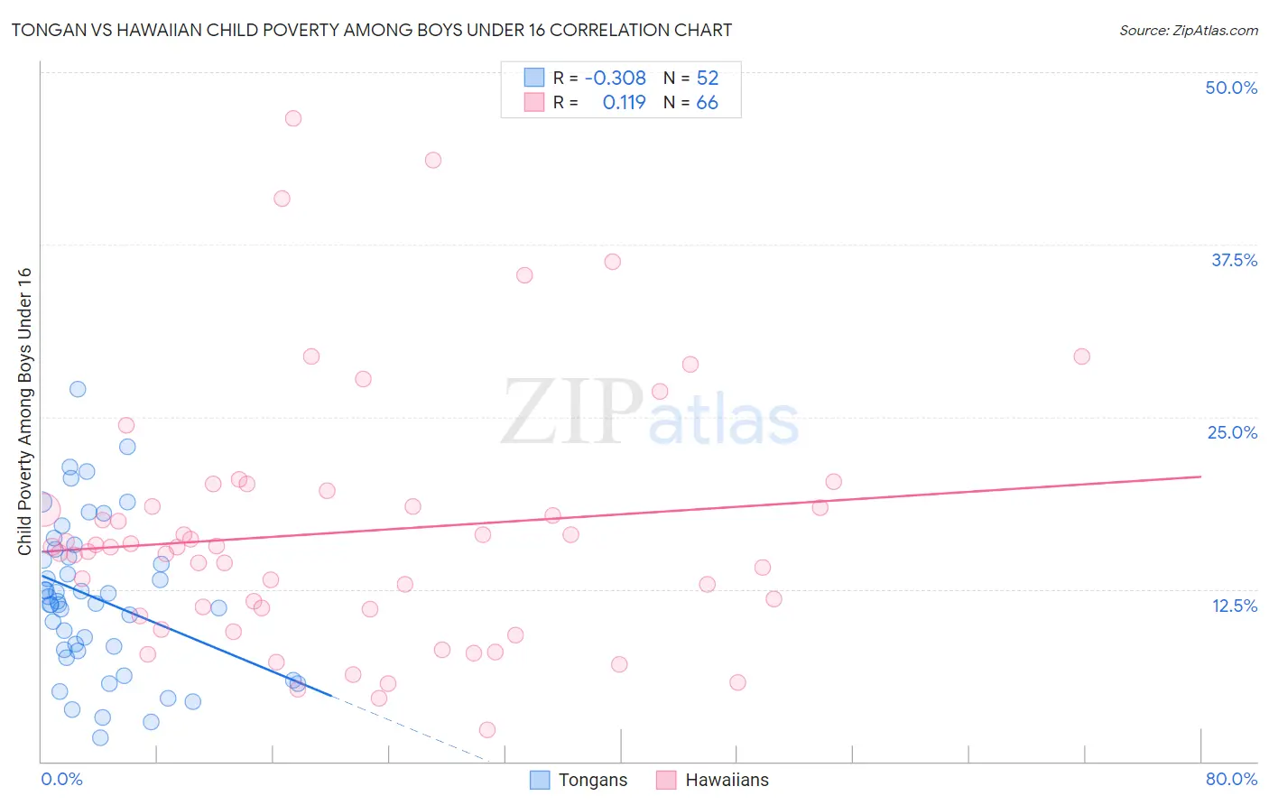 Tongan vs Hawaiian Child Poverty Among Boys Under 16
