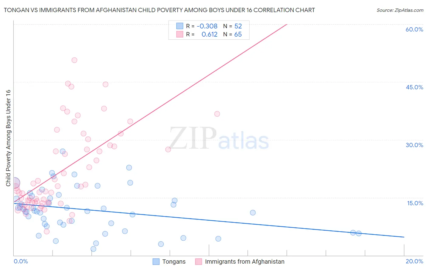 Tongan vs Immigrants from Afghanistan Child Poverty Among Boys Under 16