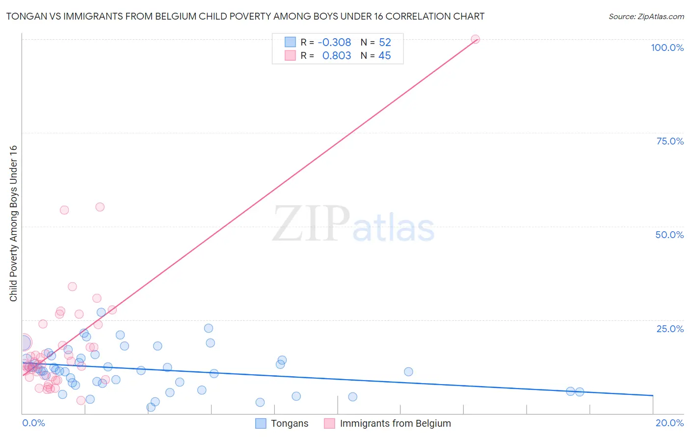 Tongan vs Immigrants from Belgium Child Poverty Among Boys Under 16