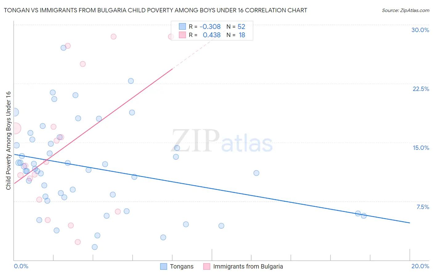 Tongan vs Immigrants from Bulgaria Child Poverty Among Boys Under 16