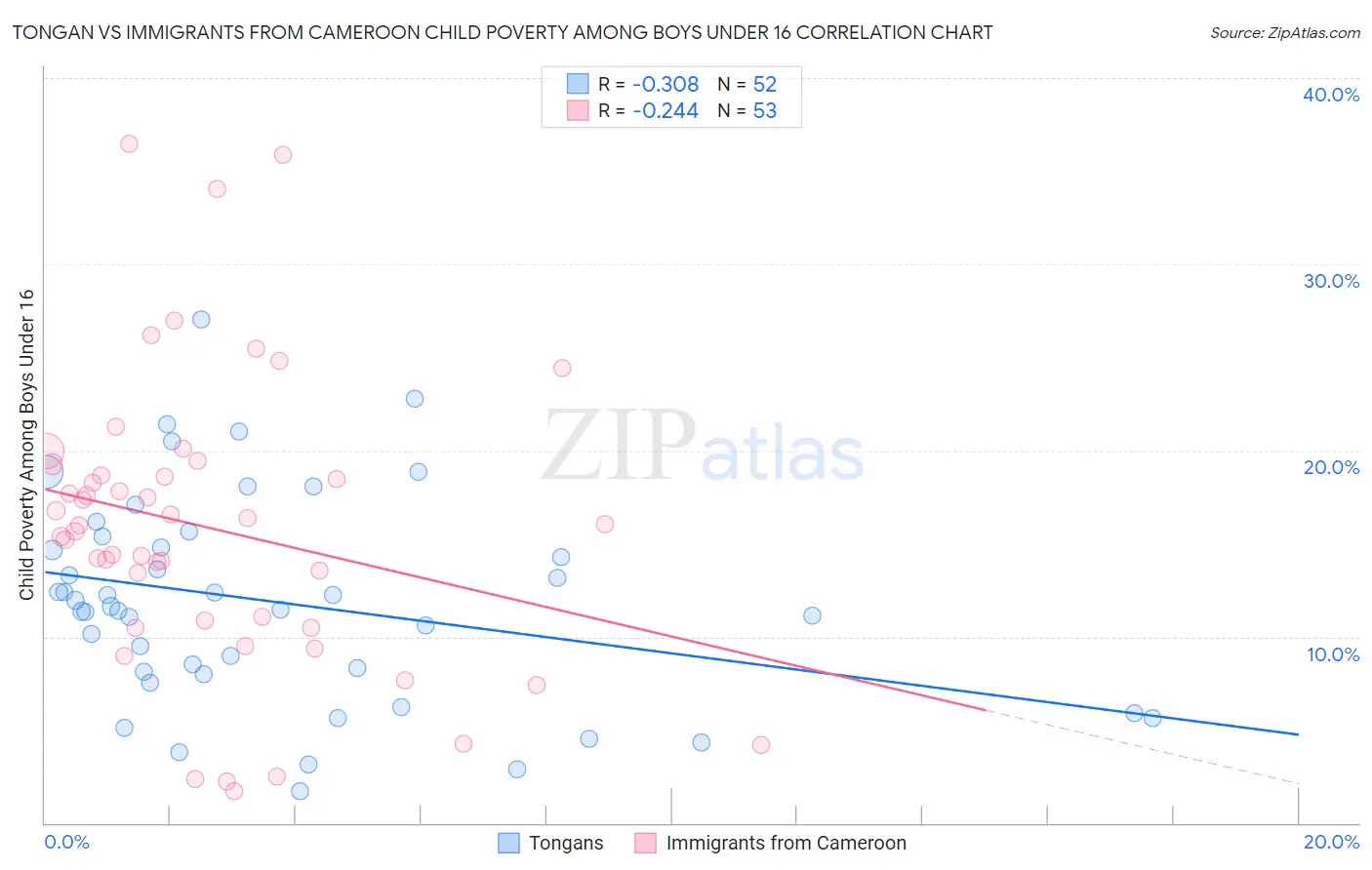 Tongan vs Immigrants from Cameroon Child Poverty Among Boys Under 16