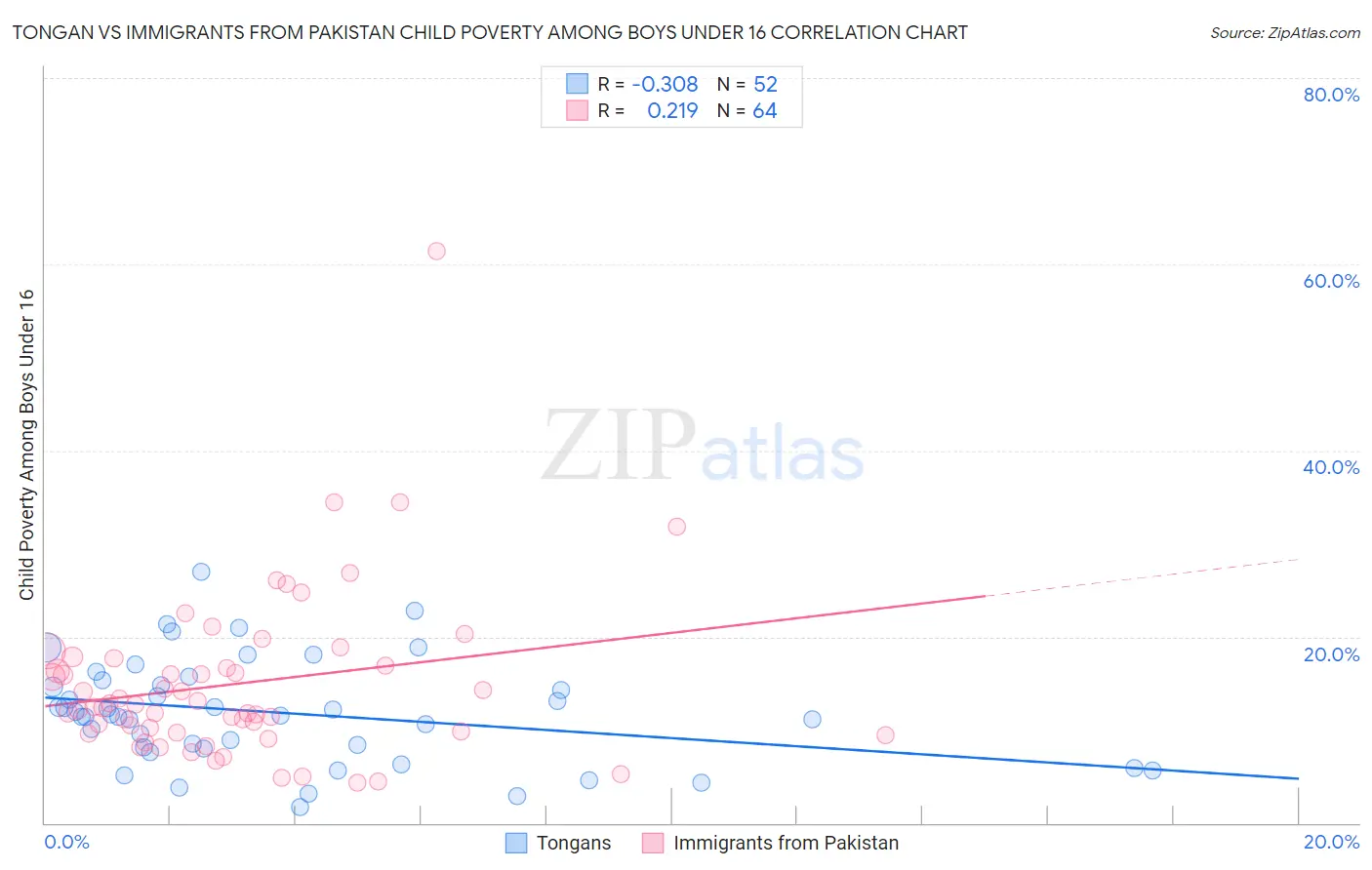 Tongan vs Immigrants from Pakistan Child Poverty Among Boys Under 16