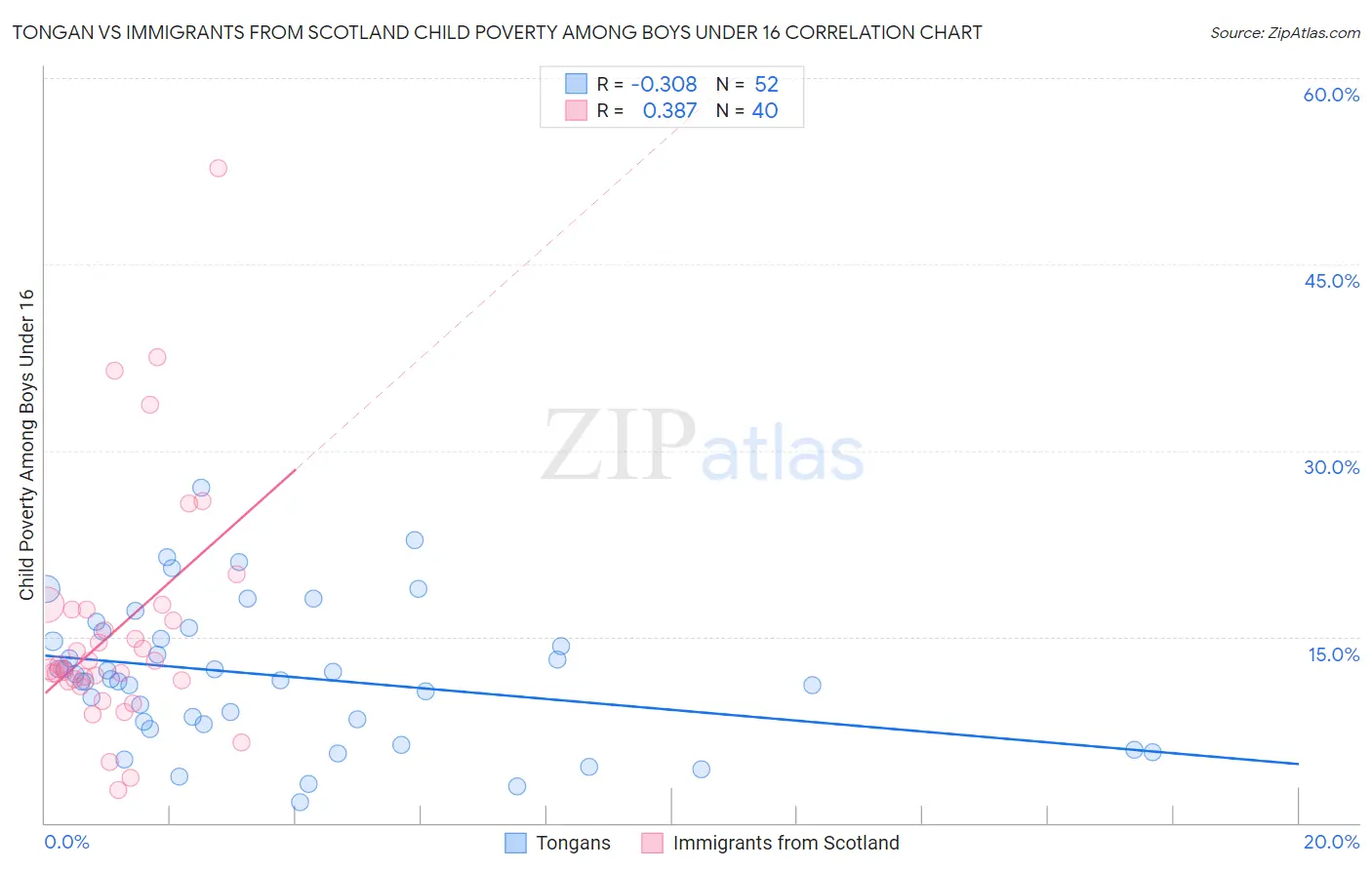 Tongan vs Immigrants from Scotland Child Poverty Among Boys Under 16