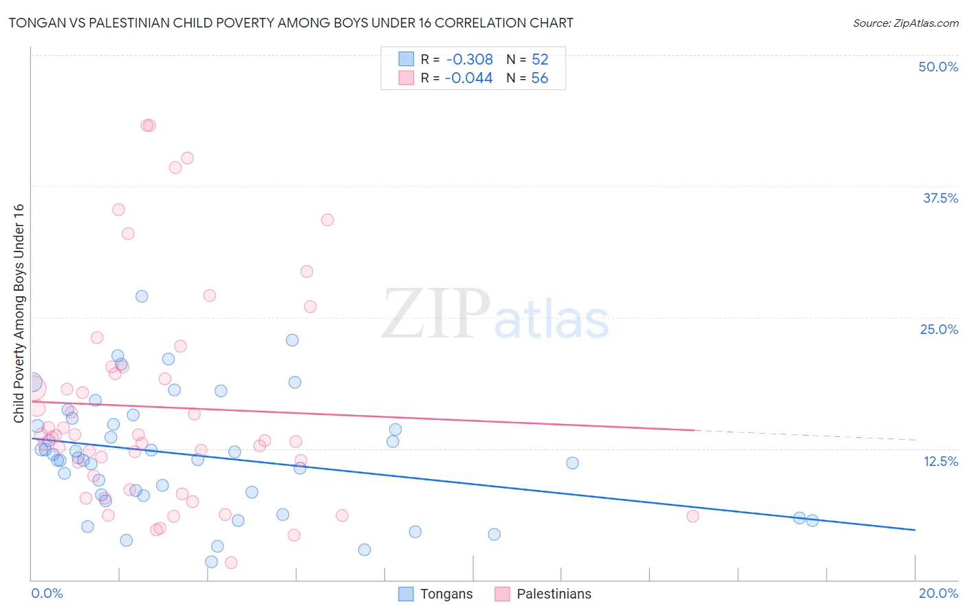 Tongan vs Palestinian Child Poverty Among Boys Under 16