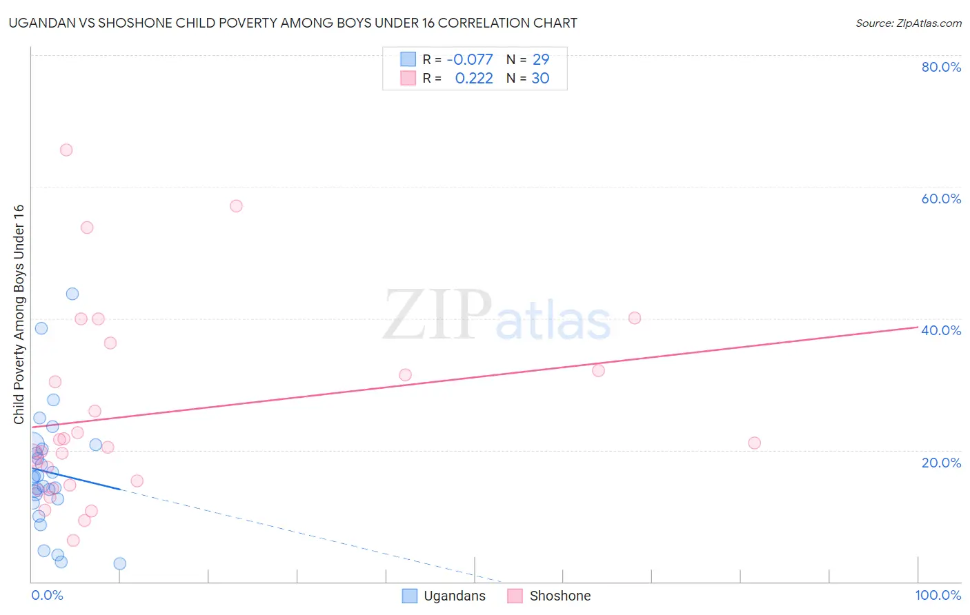 Ugandan vs Shoshone Child Poverty Among Boys Under 16