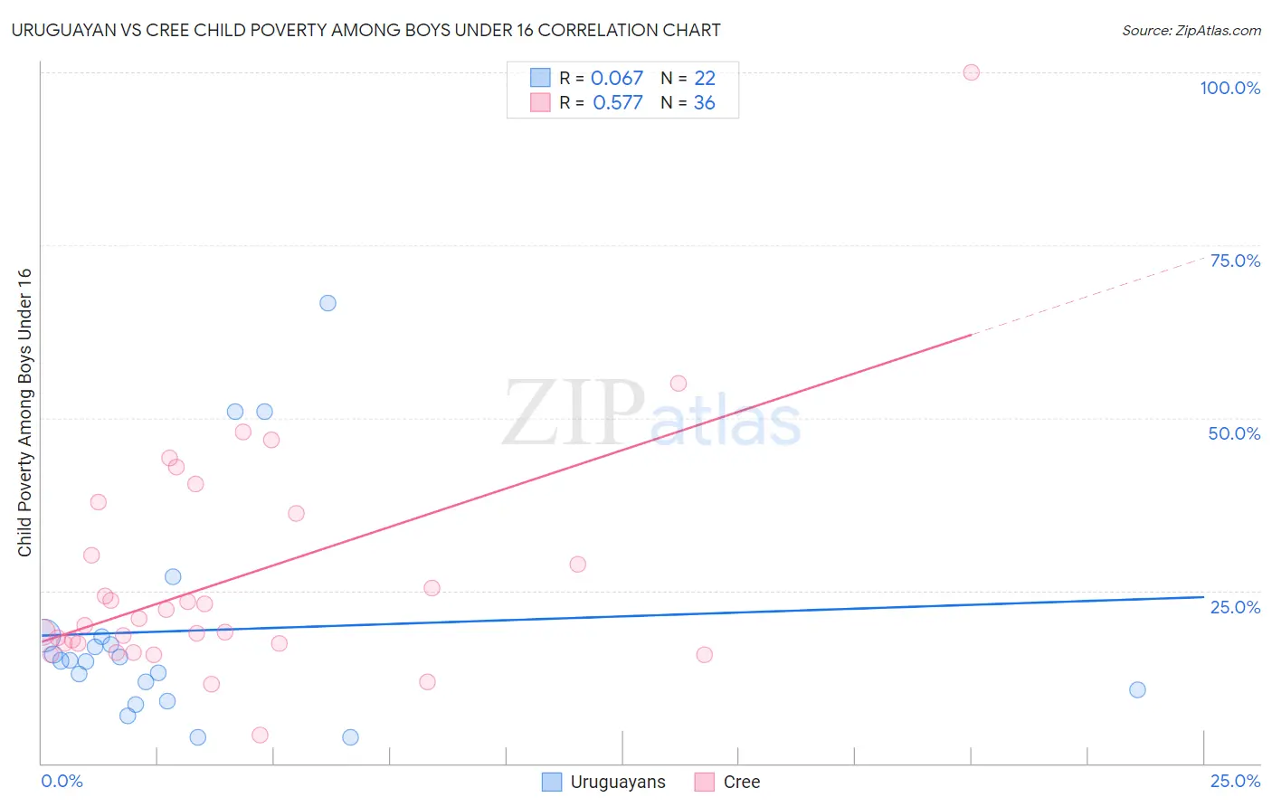 Uruguayan vs Cree Child Poverty Among Boys Under 16