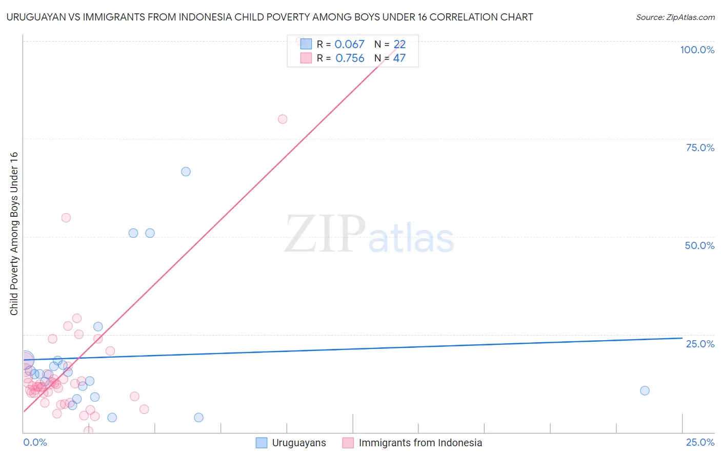 Uruguayan vs Immigrants from Indonesia Child Poverty Among Boys Under 16