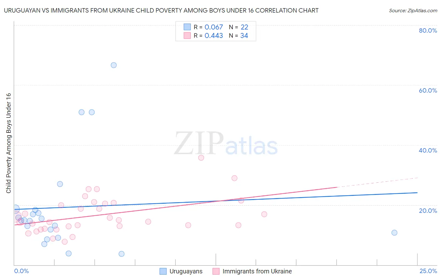 Uruguayan vs Immigrants from Ukraine Child Poverty Among Boys Under 16