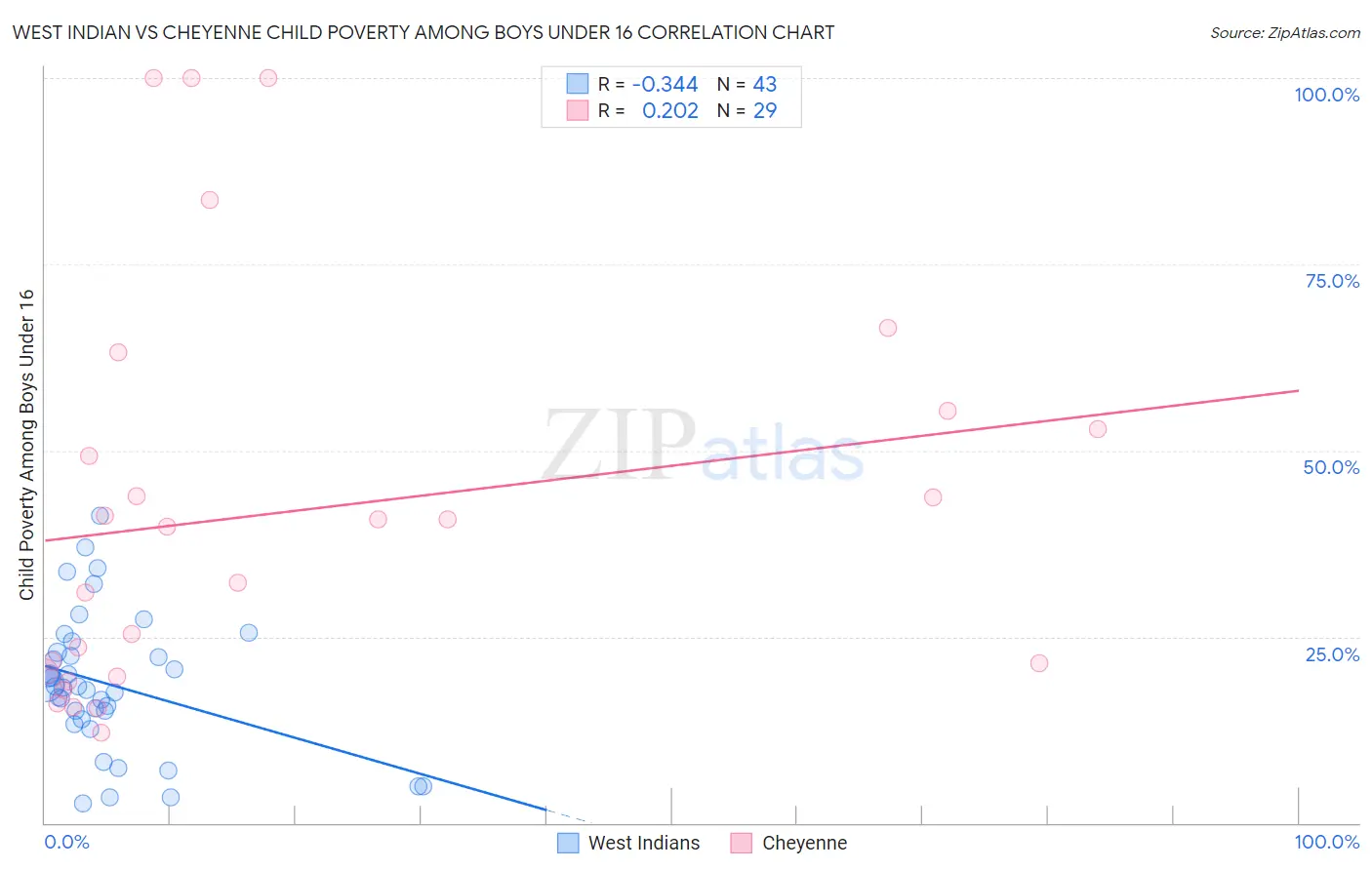 West Indian vs Cheyenne Child Poverty Among Boys Under 16