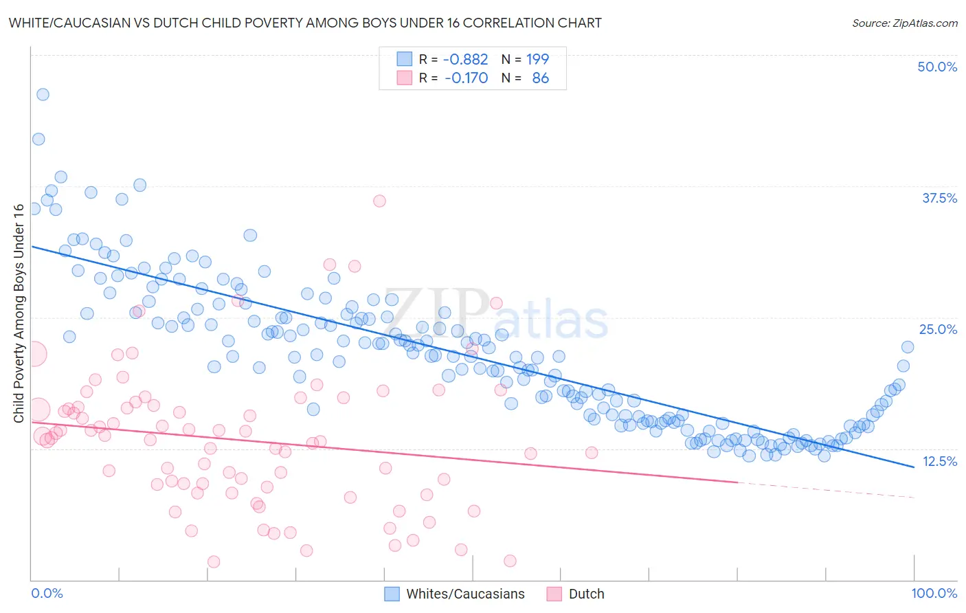 White/Caucasian vs Dutch Child Poverty Among Boys Under 16
