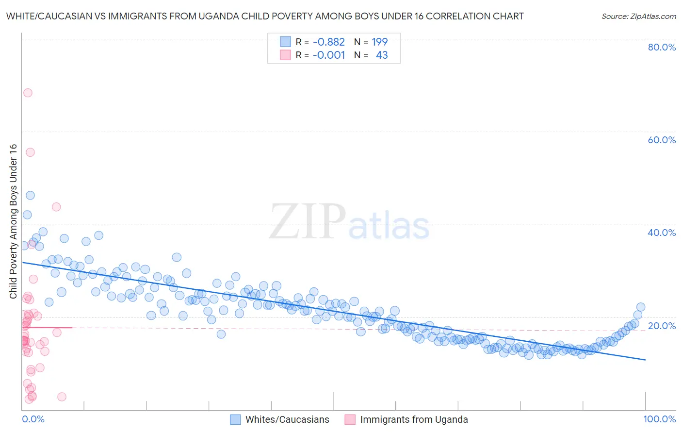 White/Caucasian vs Immigrants from Uganda Child Poverty Among Boys Under 16