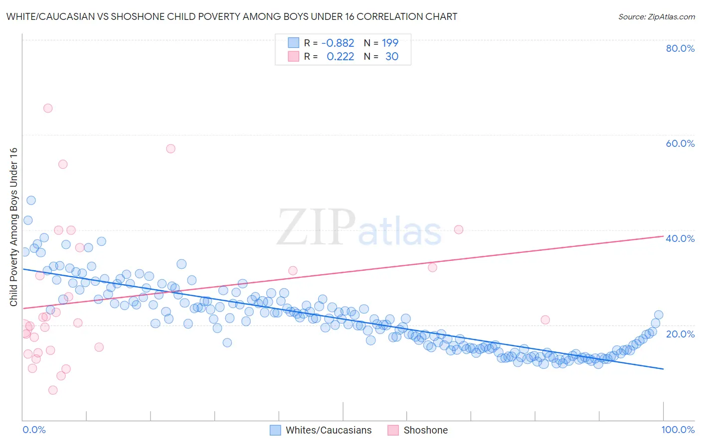 White/Caucasian vs Shoshone Child Poverty Among Boys Under 16