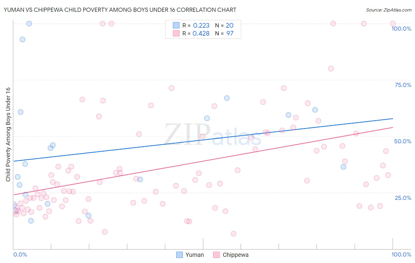 Yuman vs Chippewa Child Poverty Among Boys Under 16