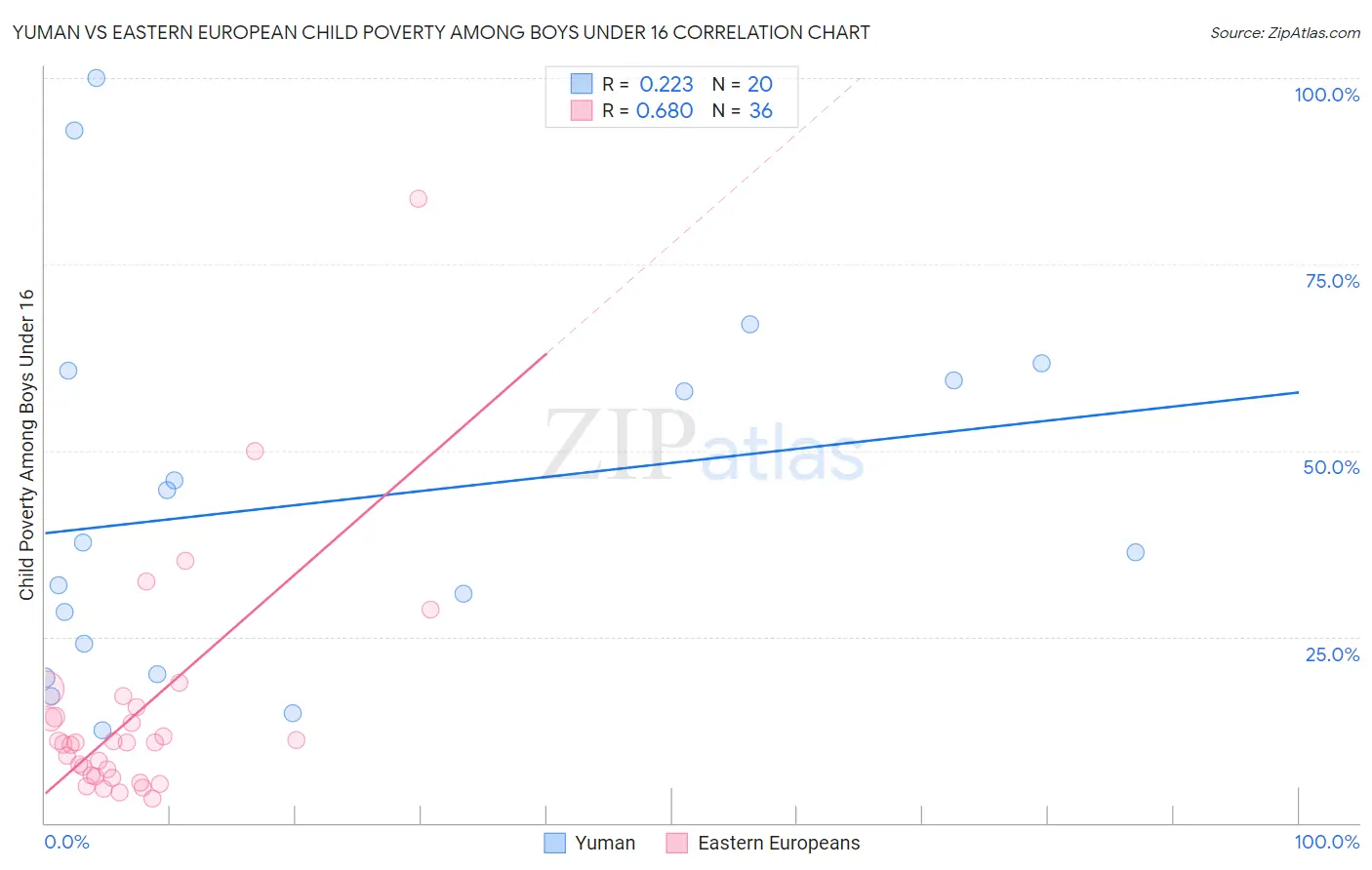 Yuman vs Eastern European Child Poverty Among Boys Under 16