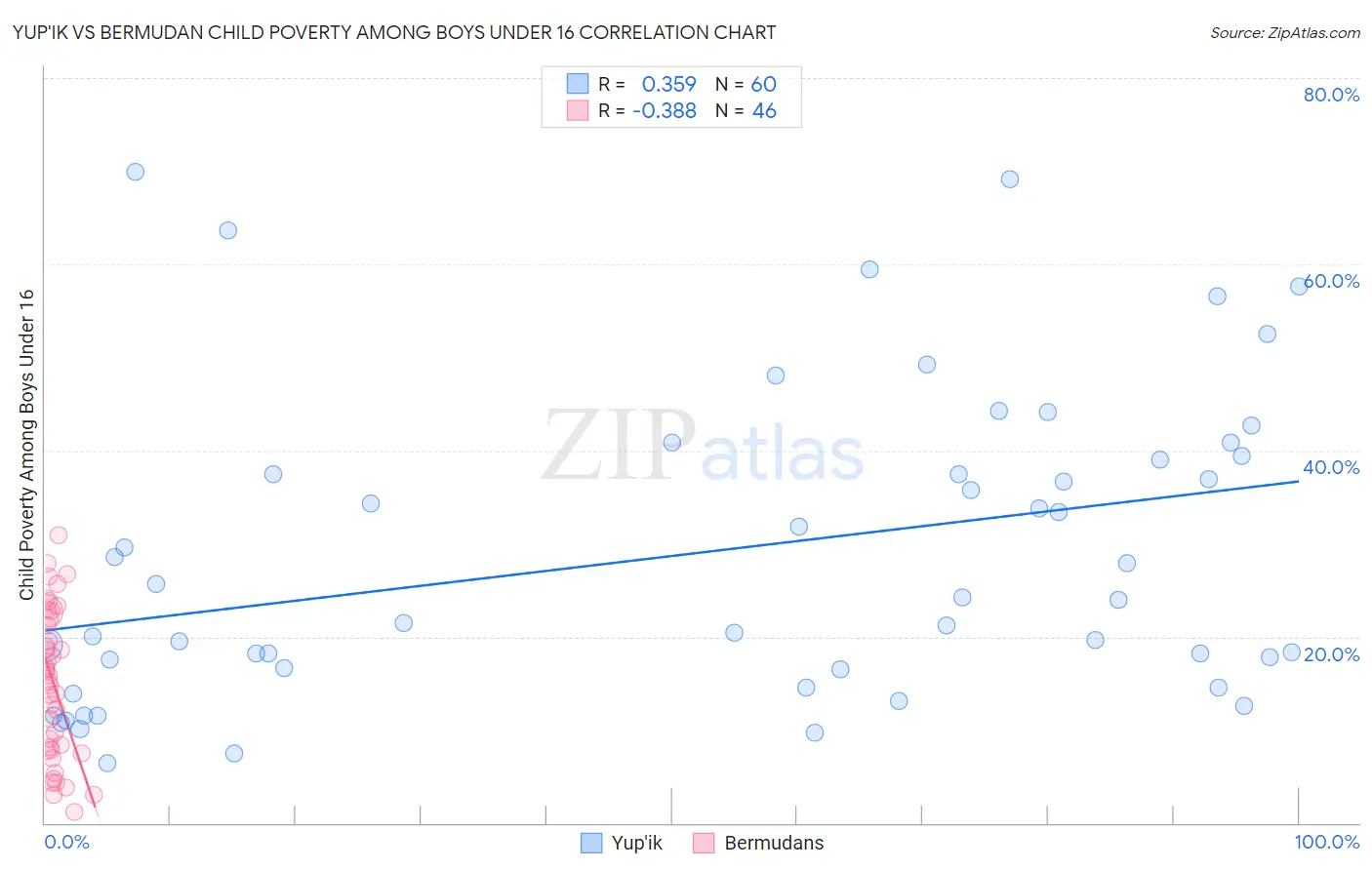 Yup'ik vs Bermudan Child Poverty Among Boys Under 16