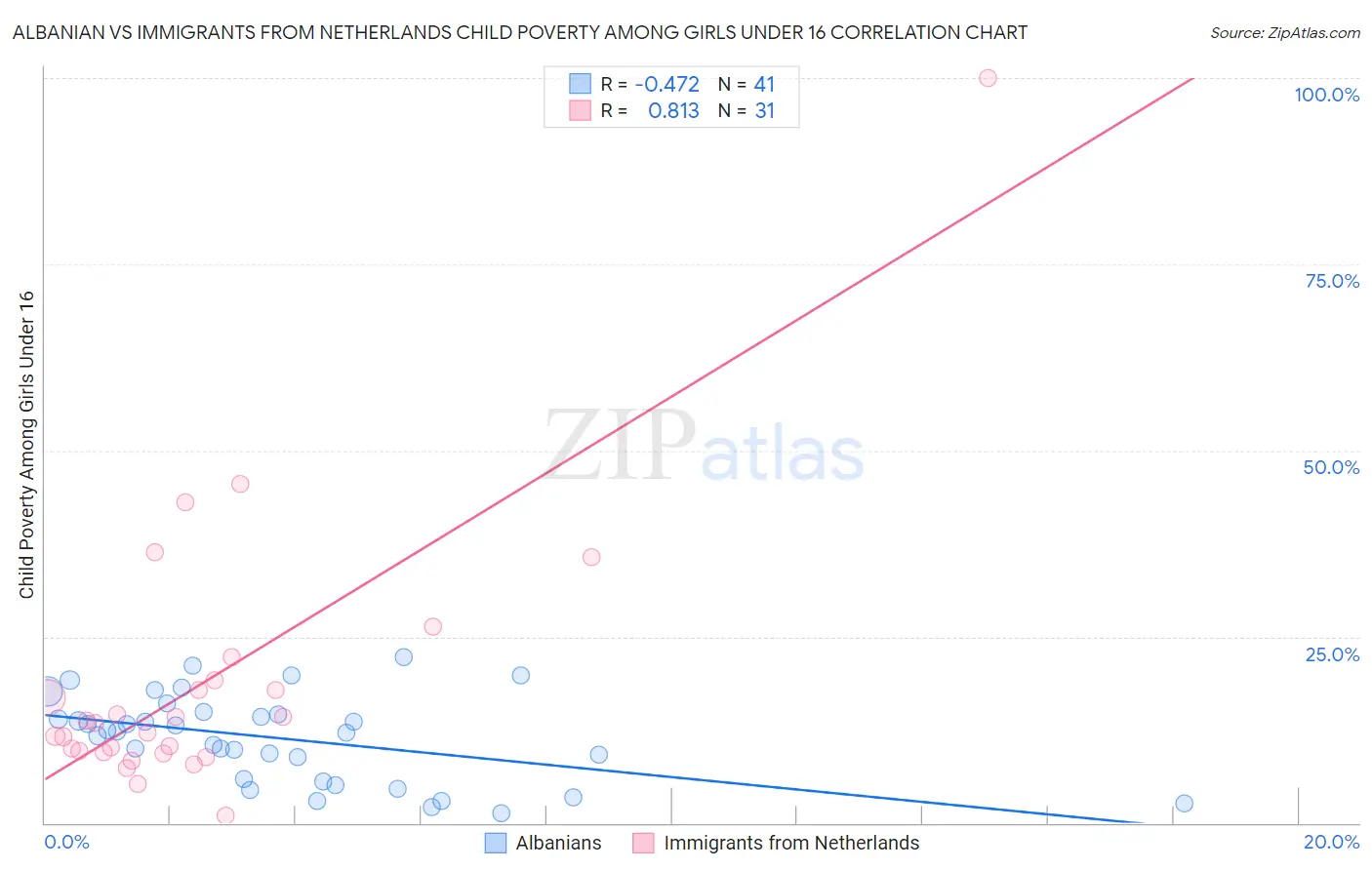 Albanian vs Immigrants from Netherlands Child Poverty Among Girls Under 16