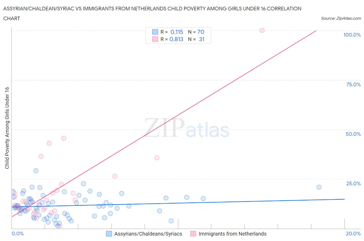 Assyrian/Chaldean/Syriac vs Immigrants from Netherlands Child Poverty Among Girls Under 16