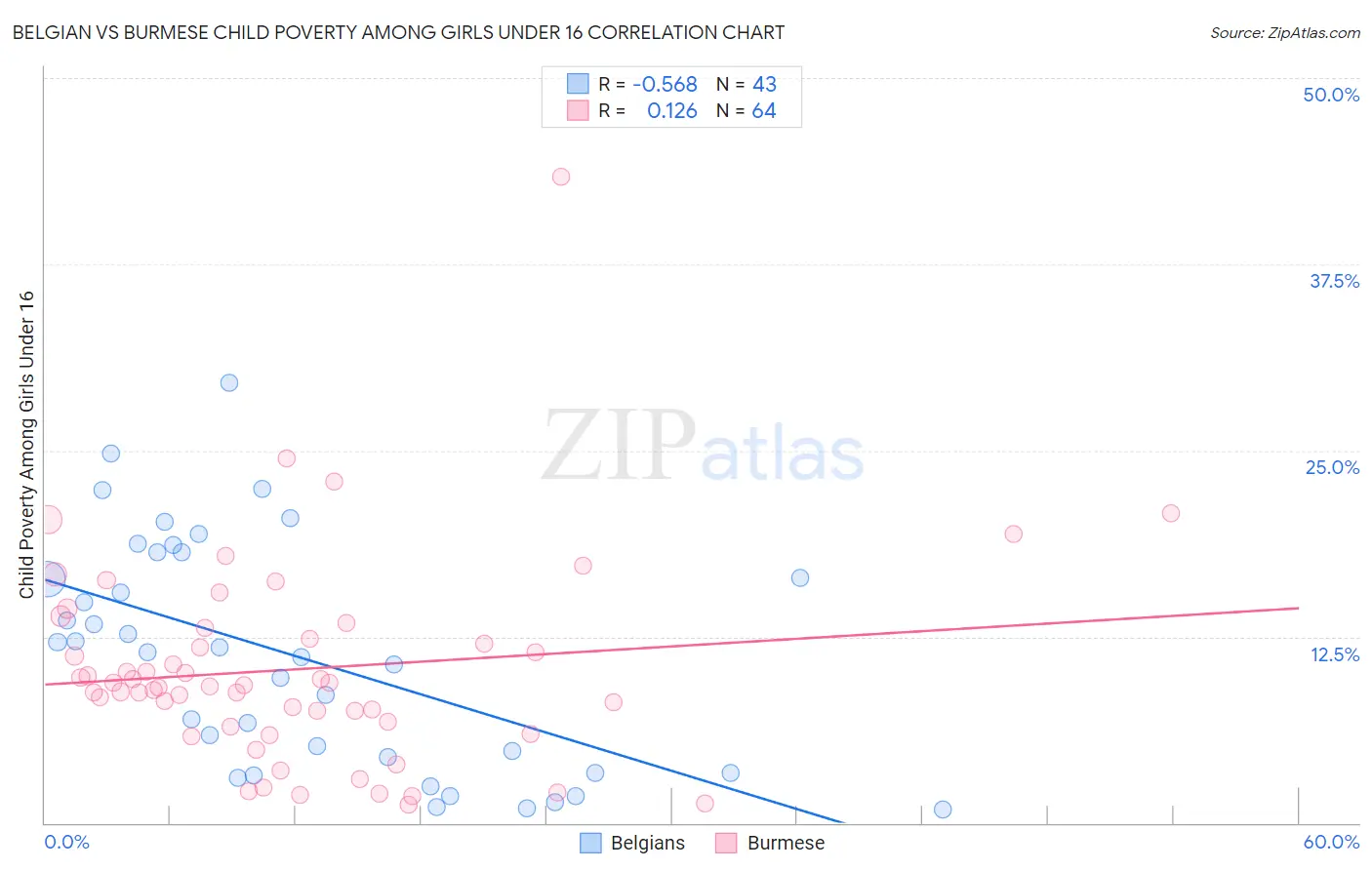 Belgian vs Burmese Child Poverty Among Girls Under 16