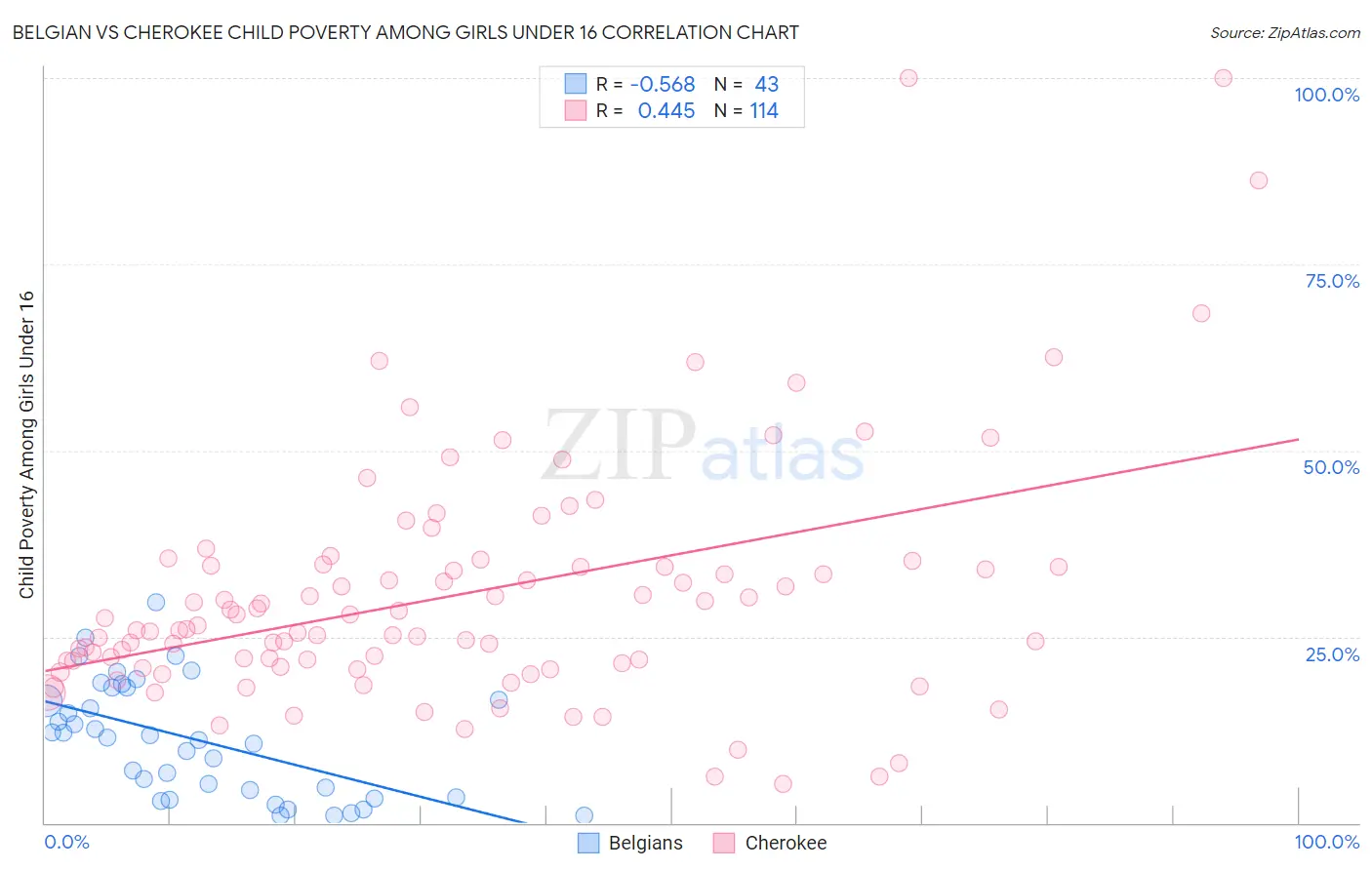 Belgian vs Cherokee Child Poverty Among Girls Under 16