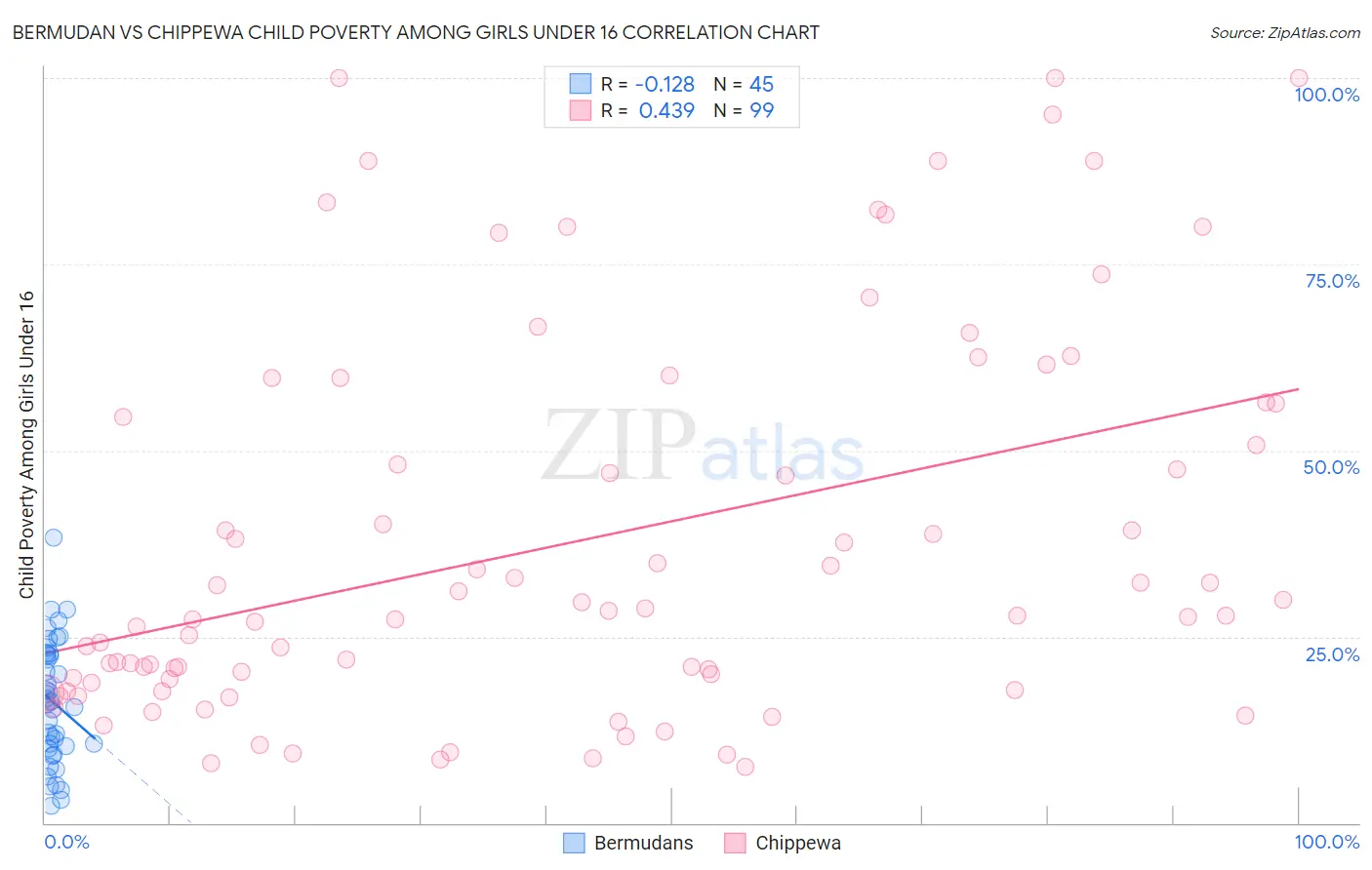 Bermudan vs Chippewa Child Poverty Among Girls Under 16
