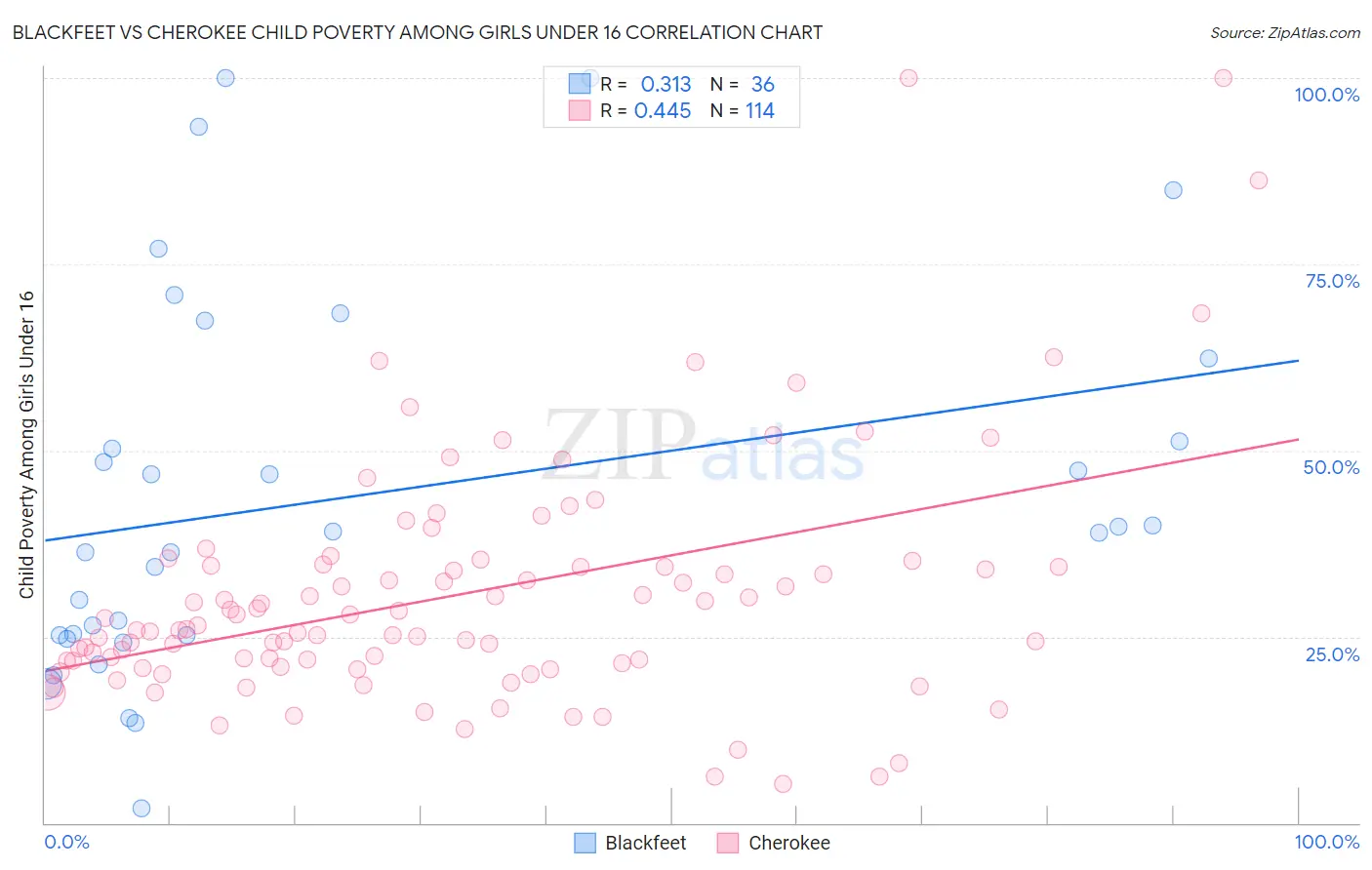 Blackfeet vs Cherokee Child Poverty Among Girls Under 16